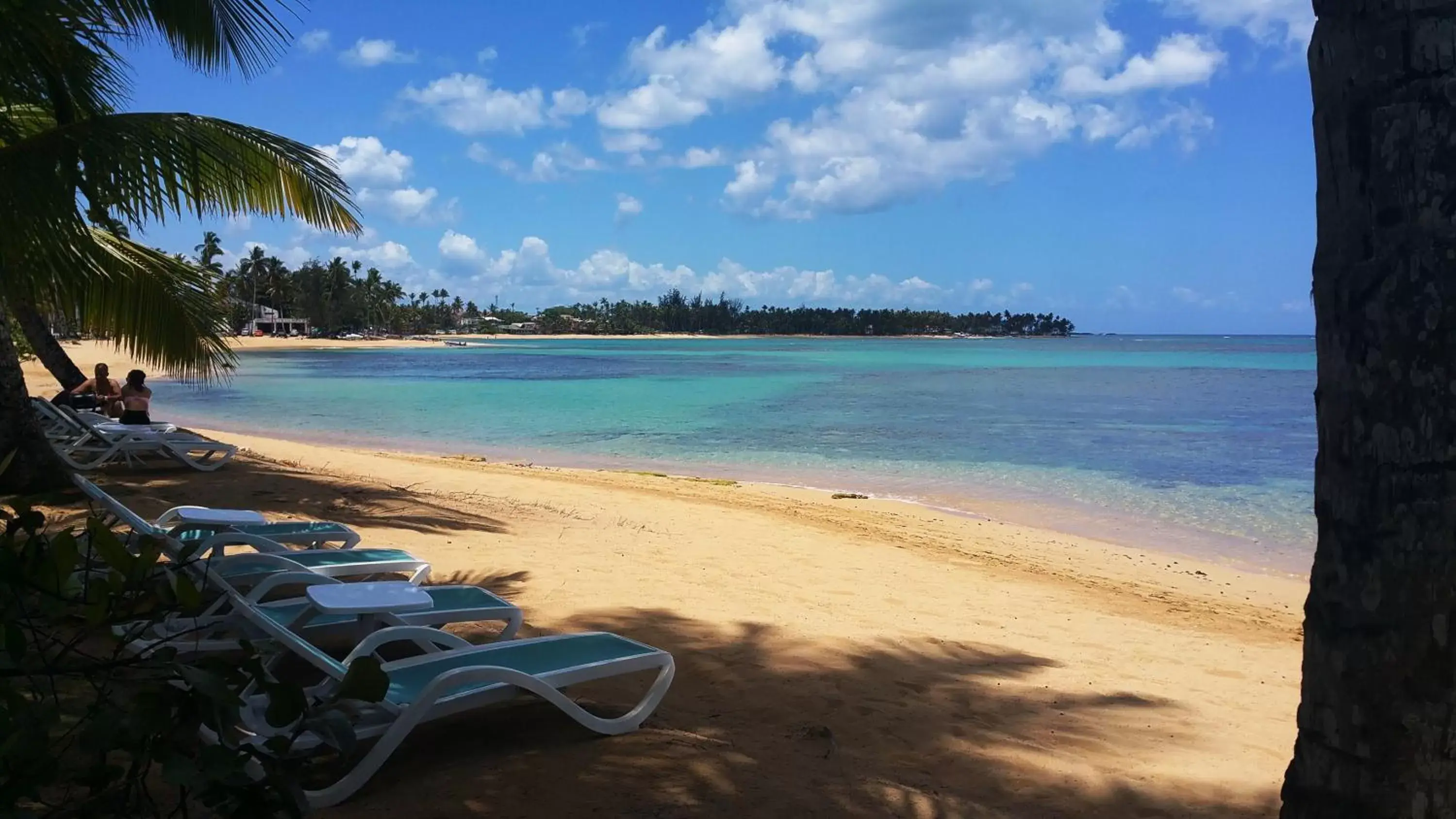 Beach in Aligio Apart-hotel & Spa - Las Terrenas