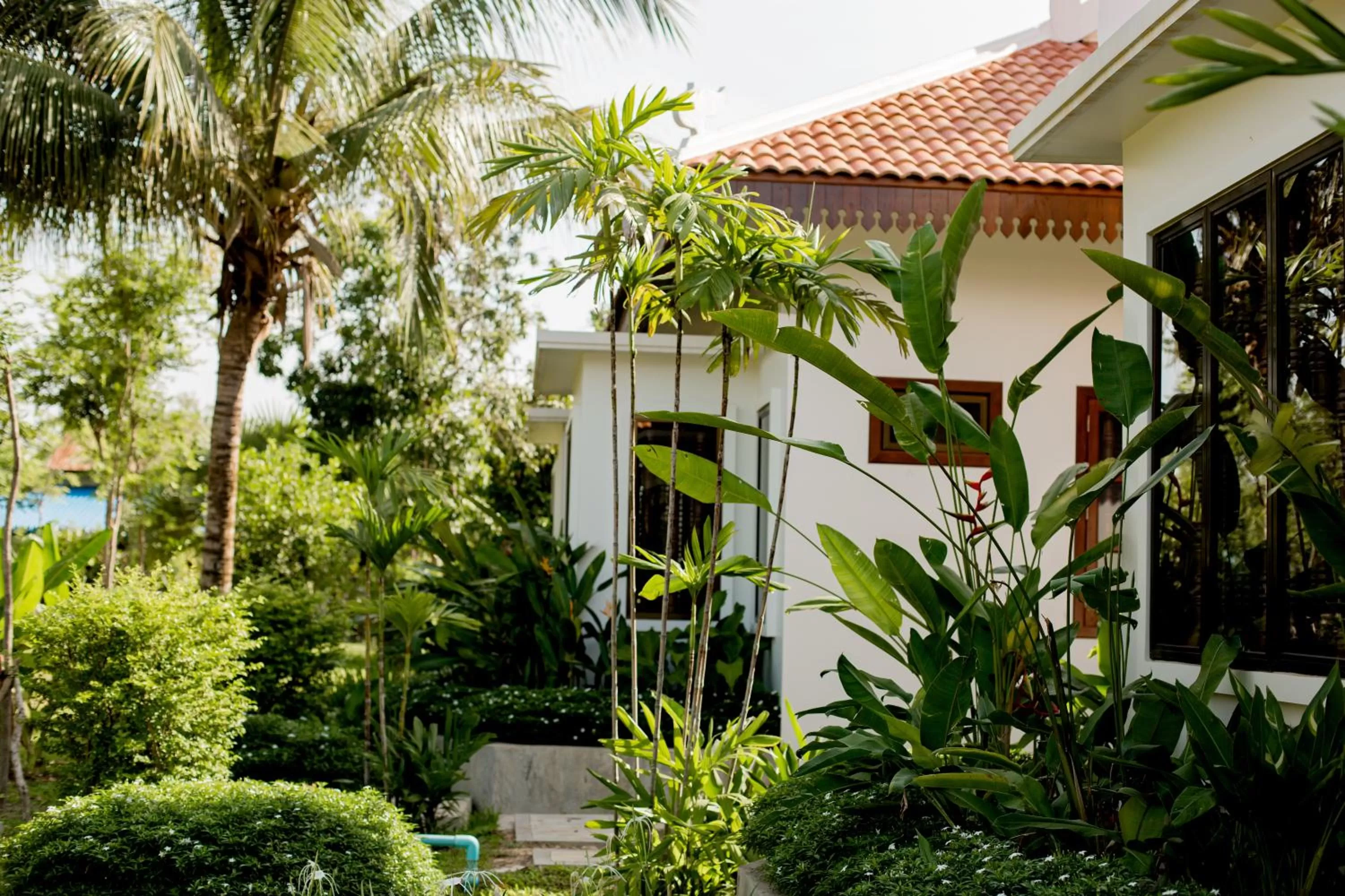 Natural landscape in Angkor Privilege Resort & Spa