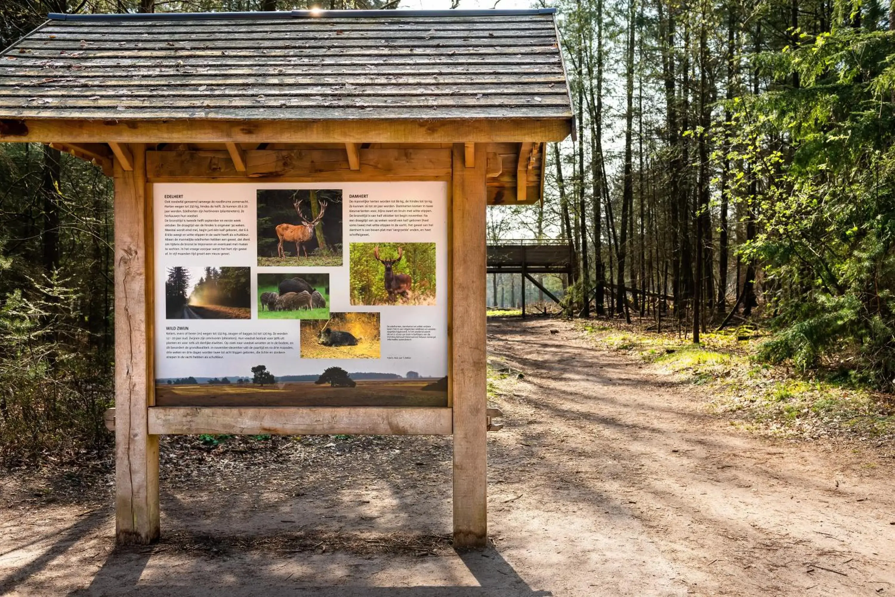 Area and facilities in Stayokay Apeldoorn