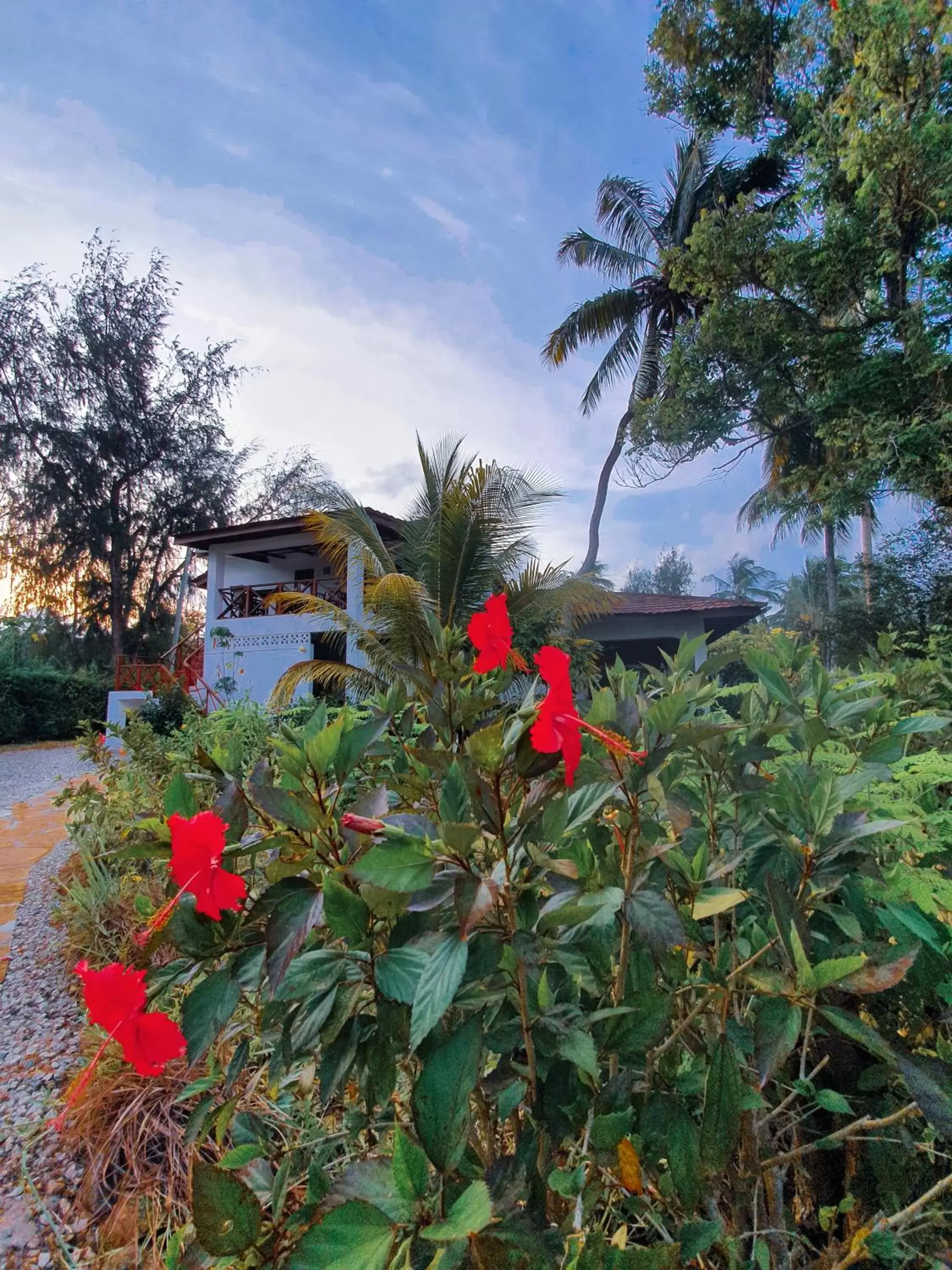 Garden in Flame Tree Cottages