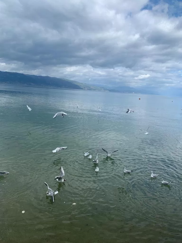Beach in Grand Hotel Pogradec