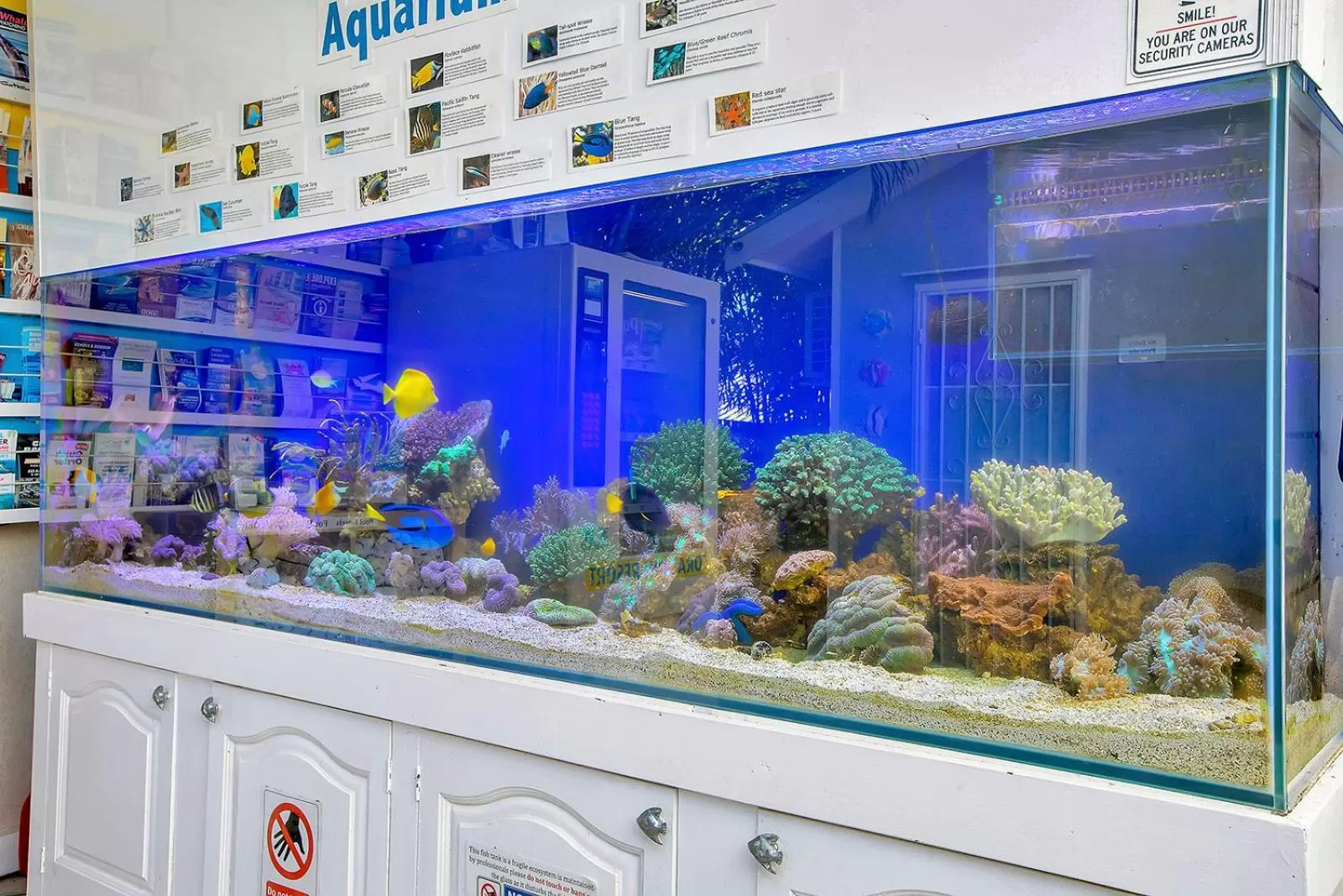 Animals in Coral Inn Boutique Motel