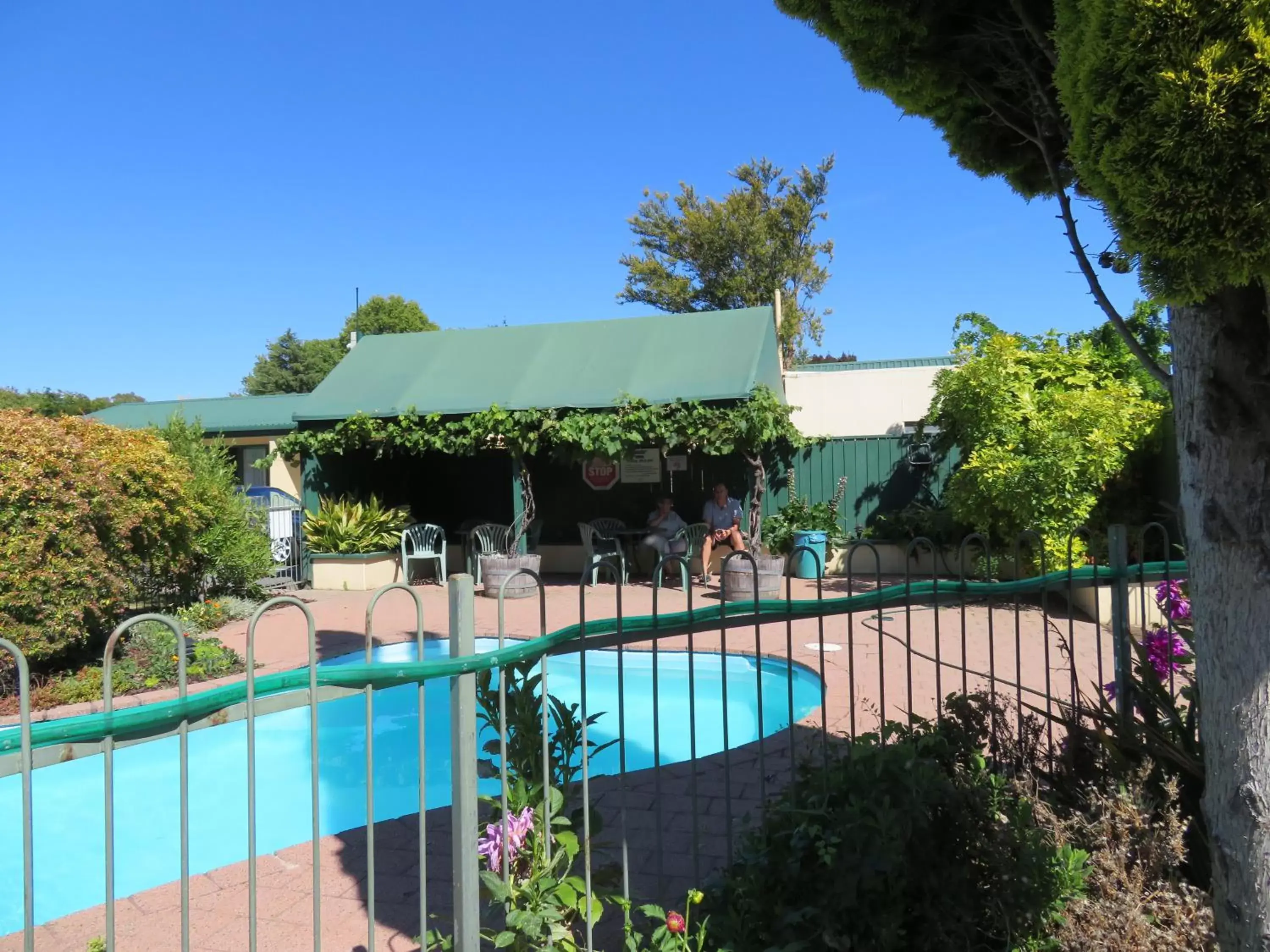 Garden, Swimming Pool in Commodore Court Motel