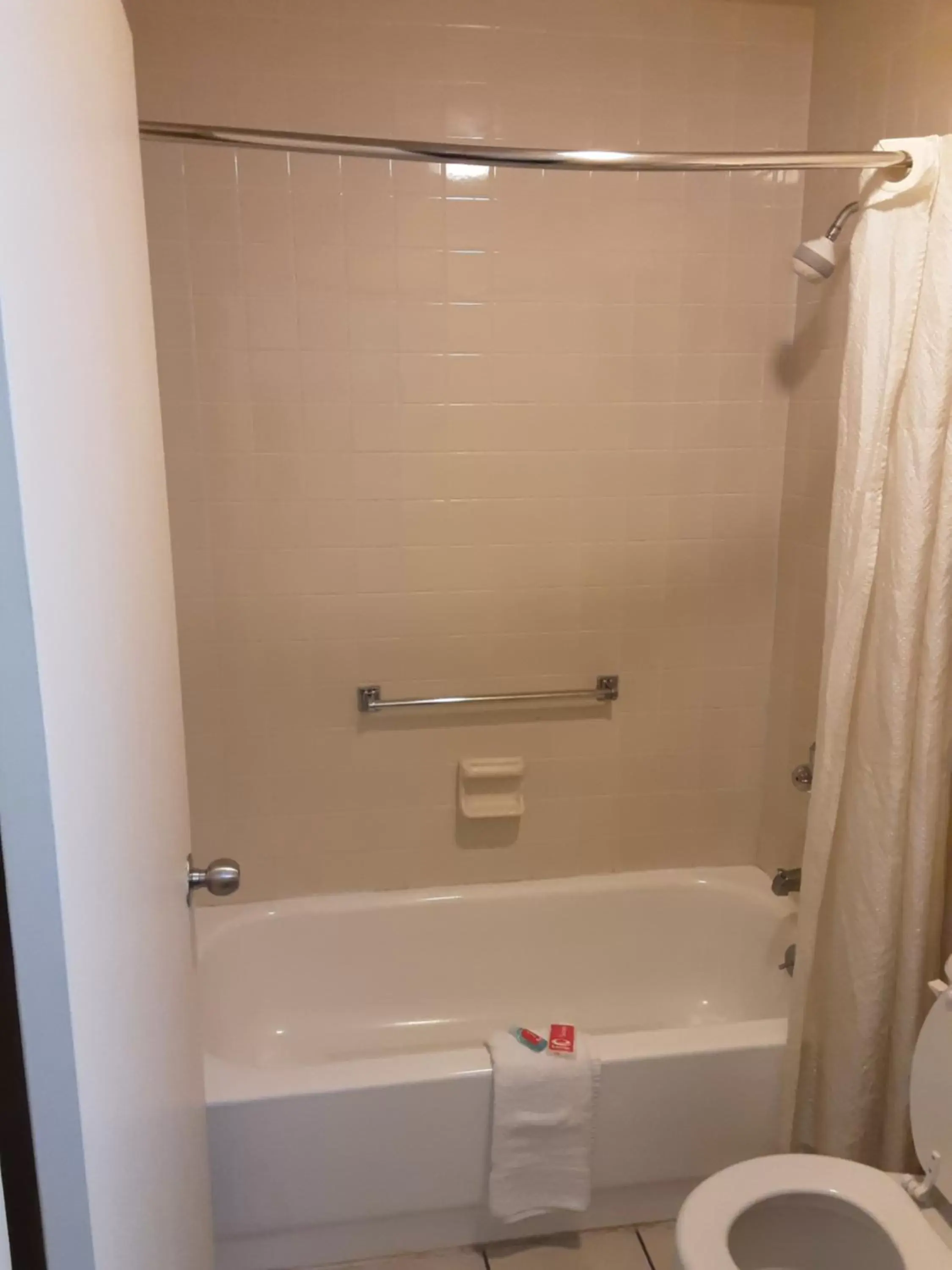 Bathroom in Econo Lodge Inn & Suites - Griffin