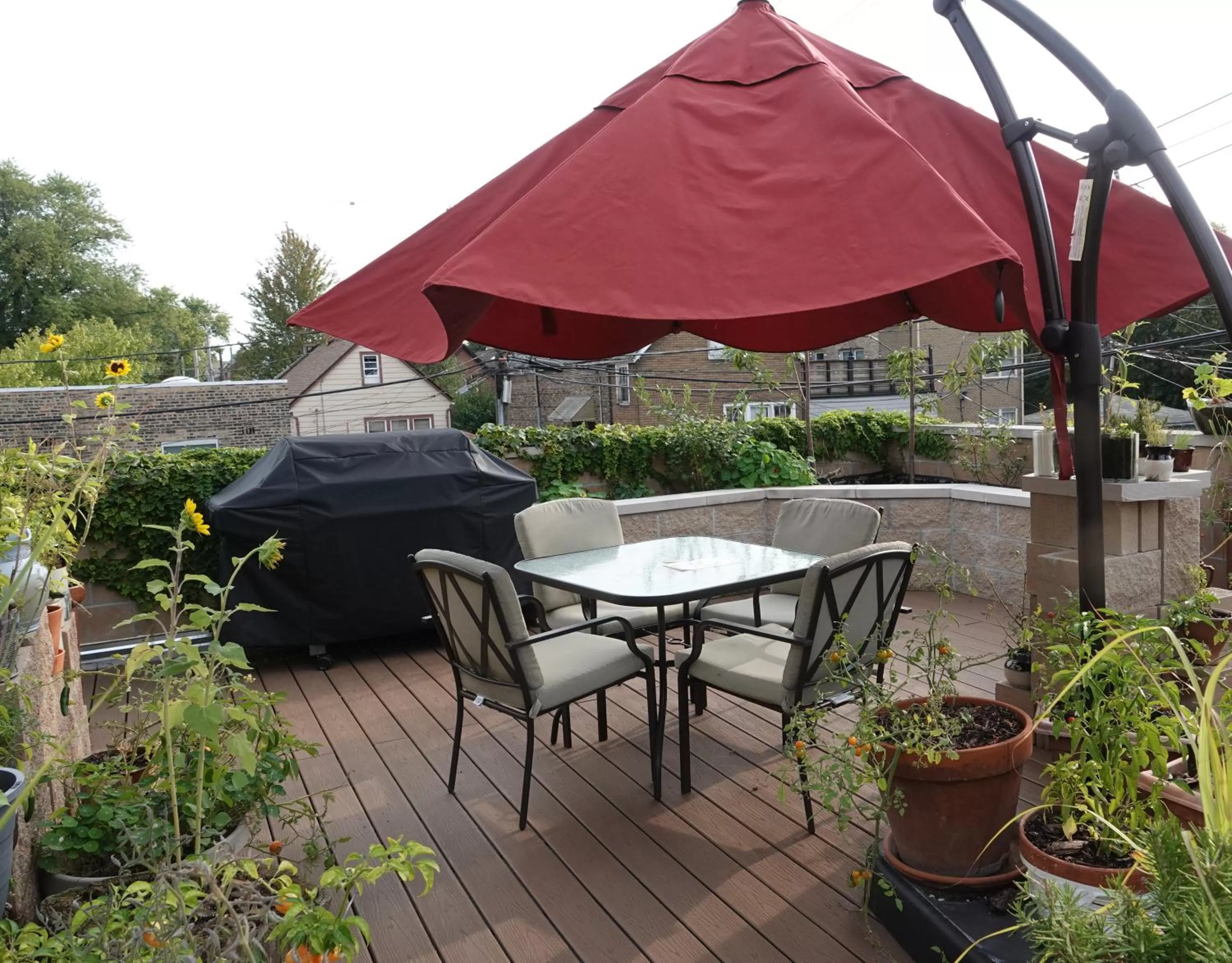 Garden, Patio/Outdoor Area in Ray's Bucktown Bed and Breakfast
