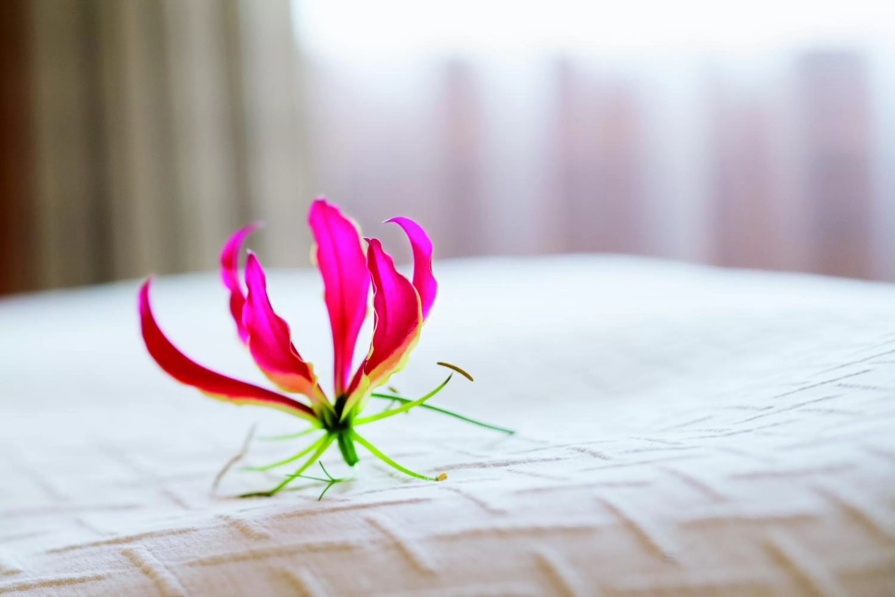 Decorative detail, Bed in Mövenpick Hotel Geneva