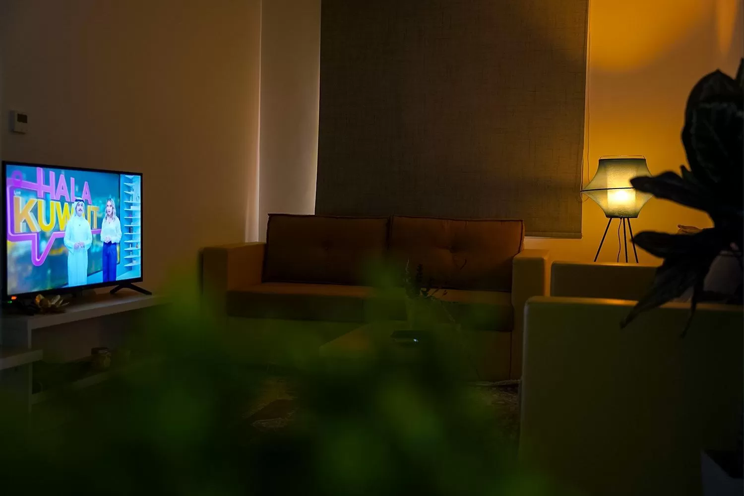 TV and multimedia in BHomed Salmiya