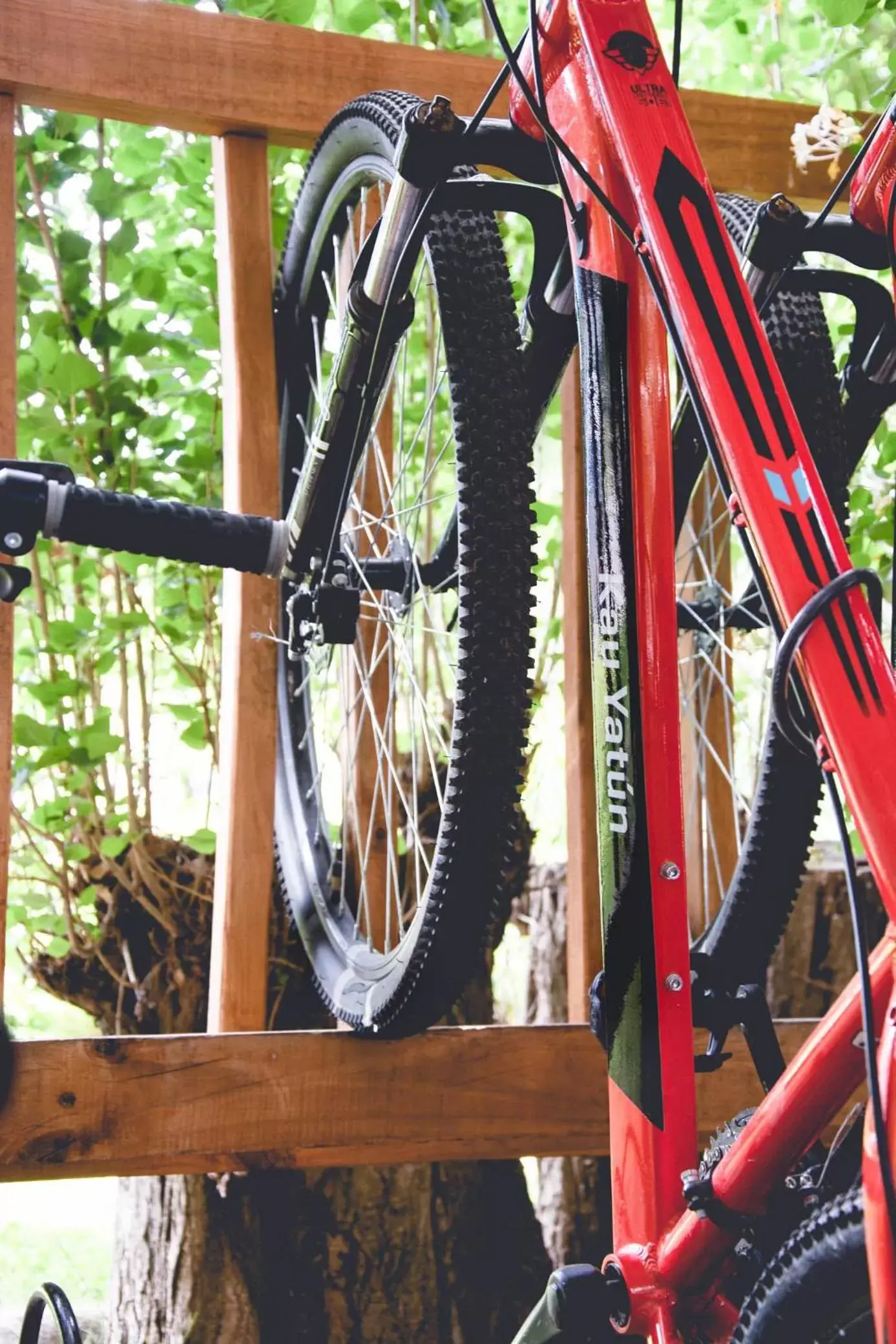 Biking in Kau Yatún Hotel Boutique