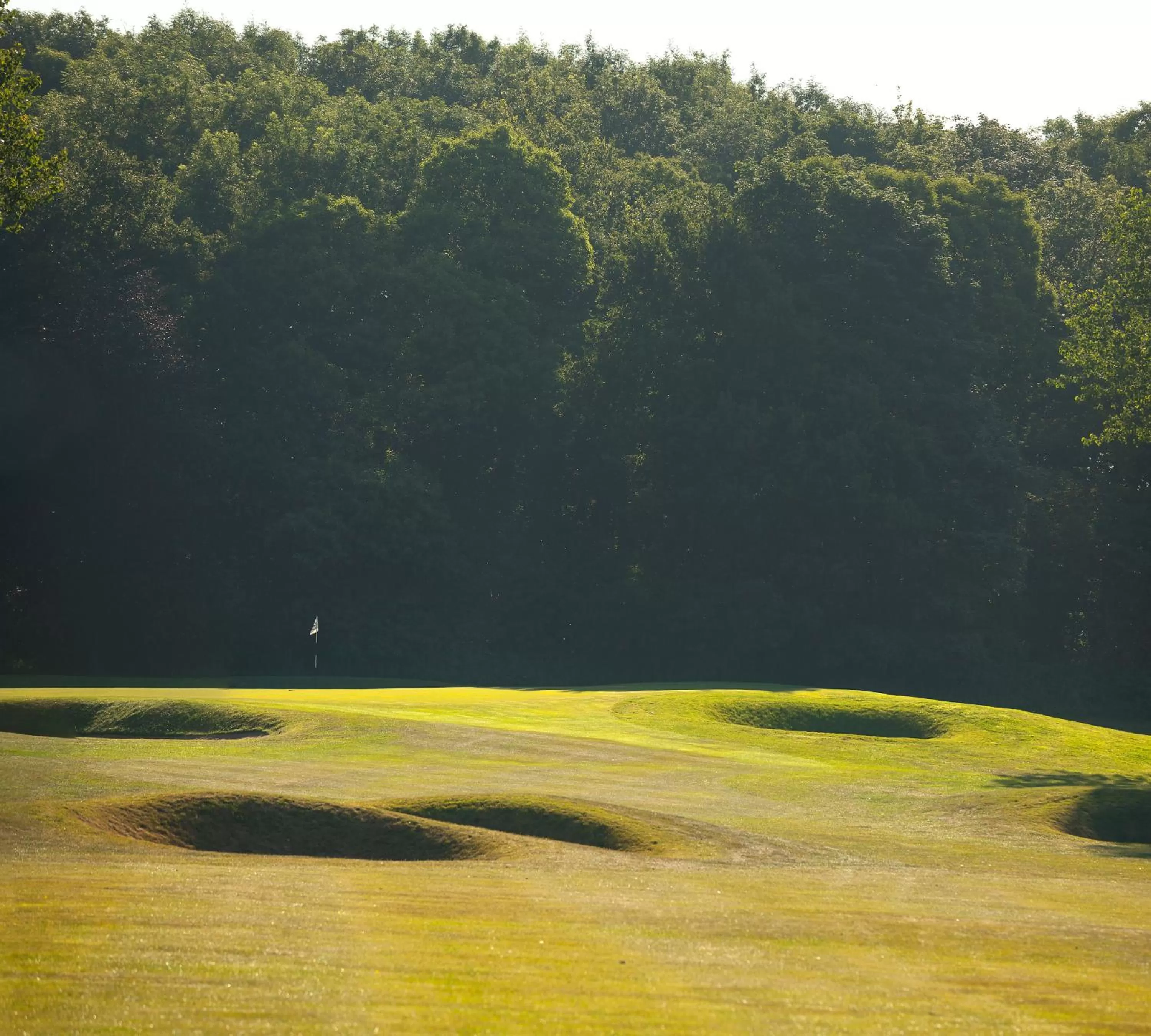 Area and facilities in Sprowston Manor Hotel, Spa & Golf