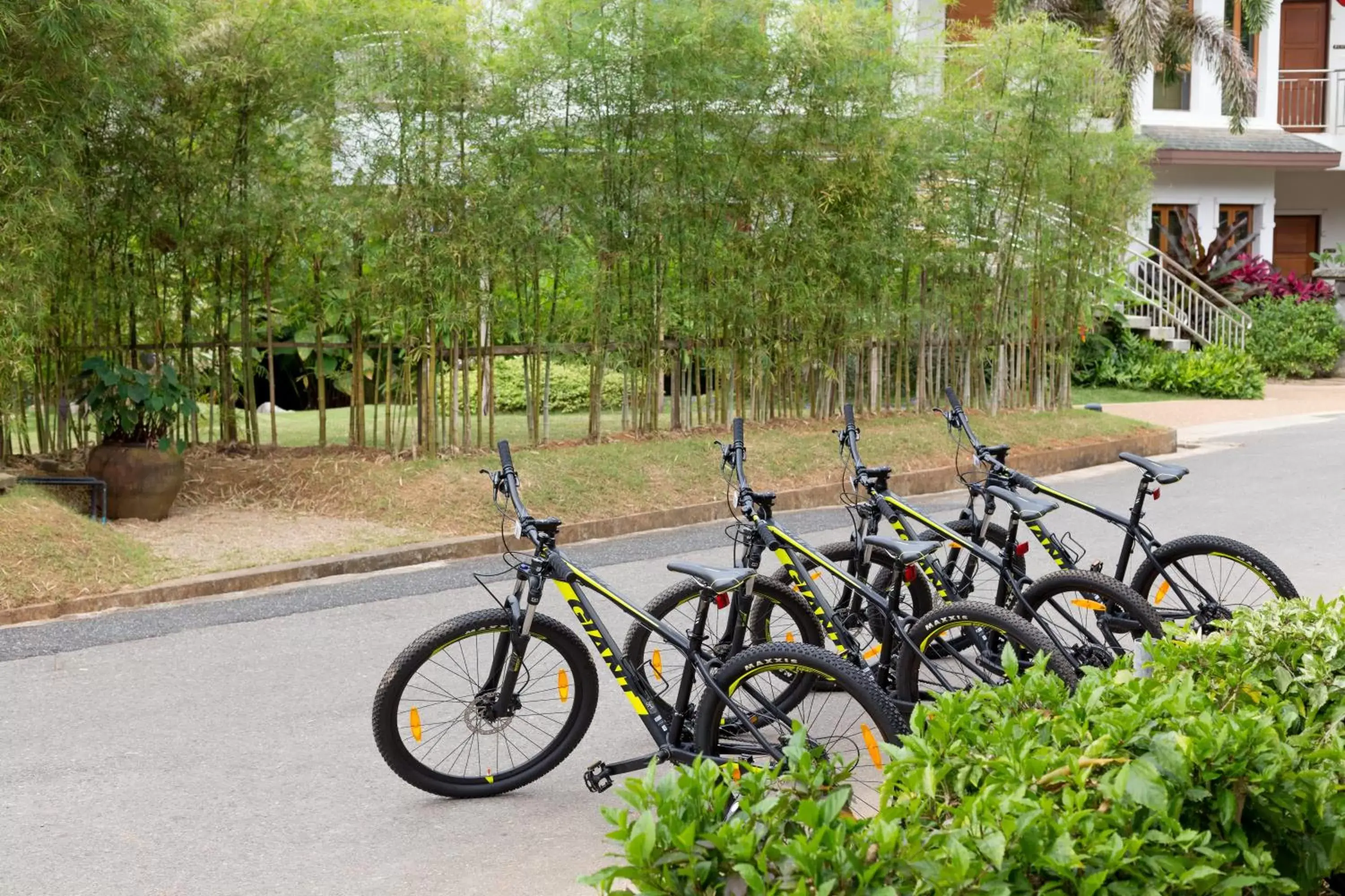 Cycling, Other Activities in Krabi Resort- SHA Extra Plus