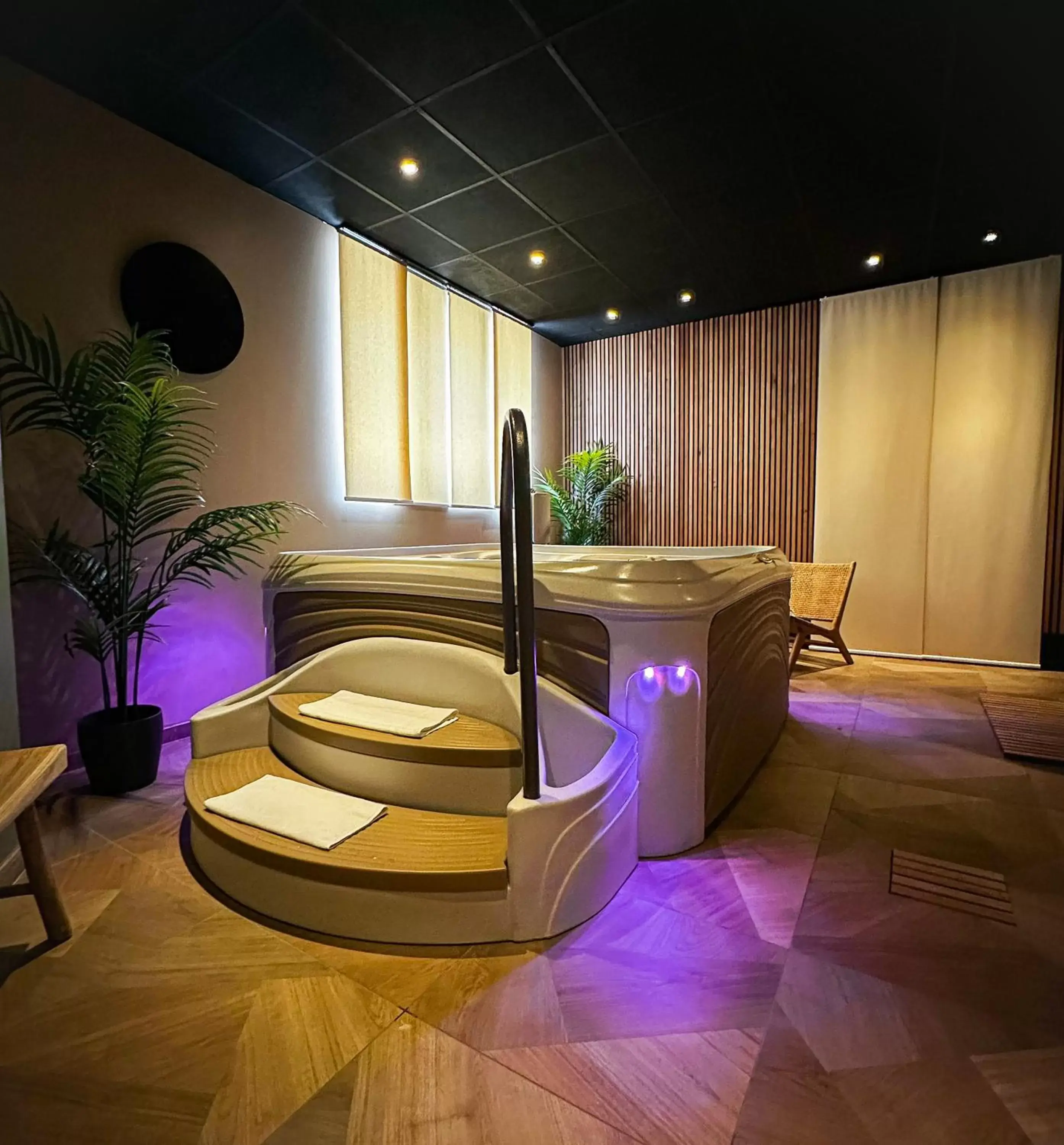 Hot Tub in HOTEL & SPA Le Renard Centre