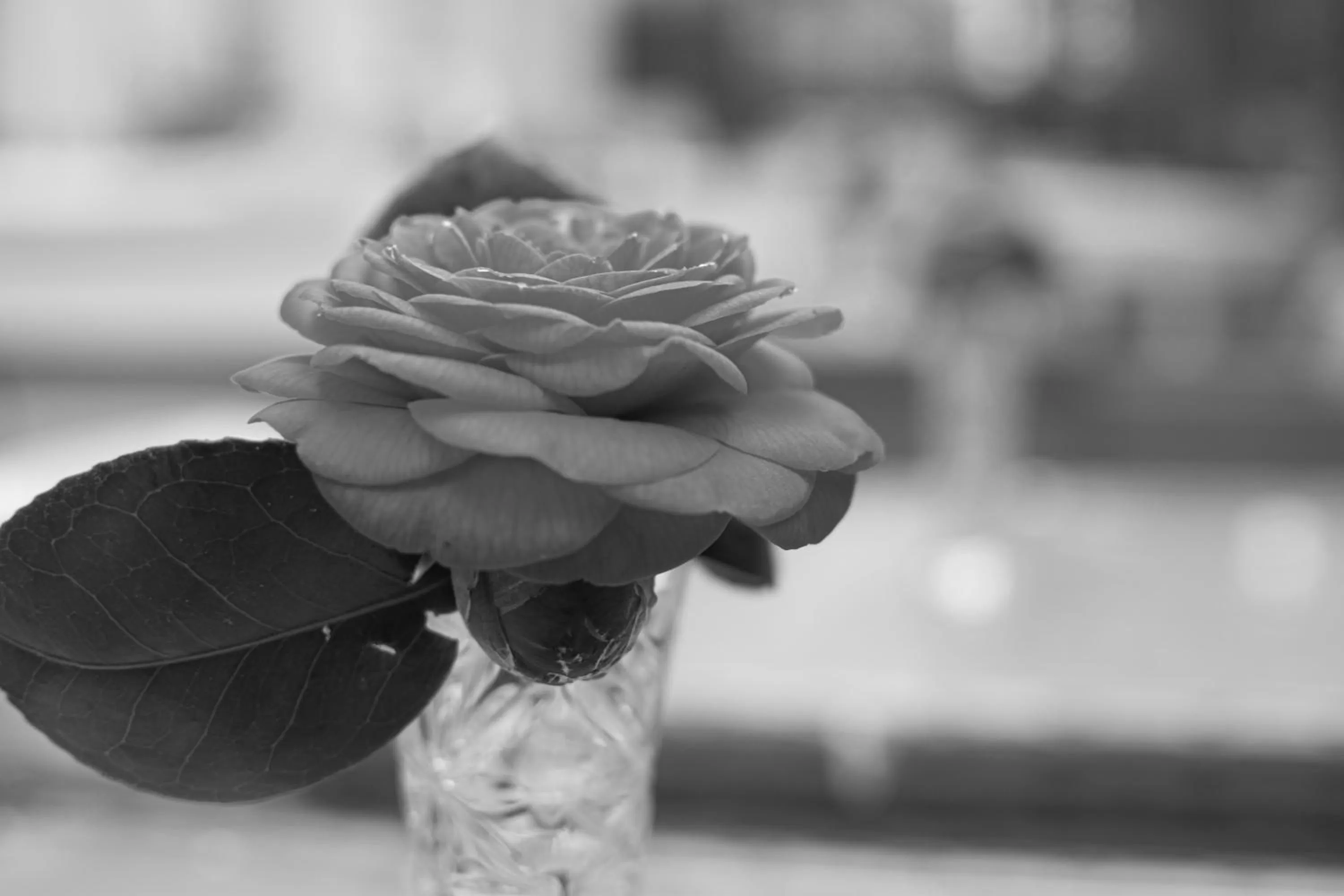 Pembridge Palace Hotel