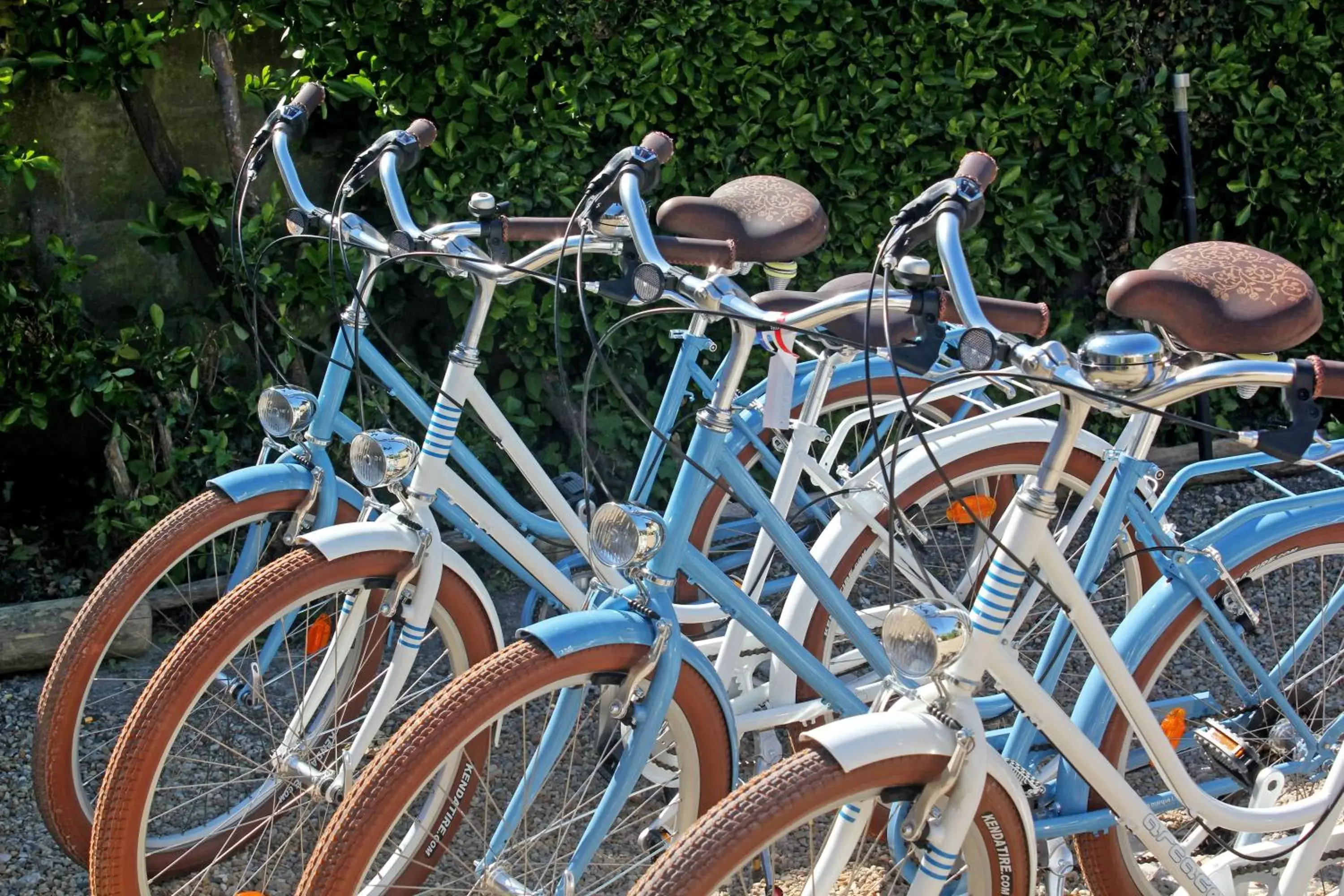 Cycling, Biking in Hôtel Le Printemps