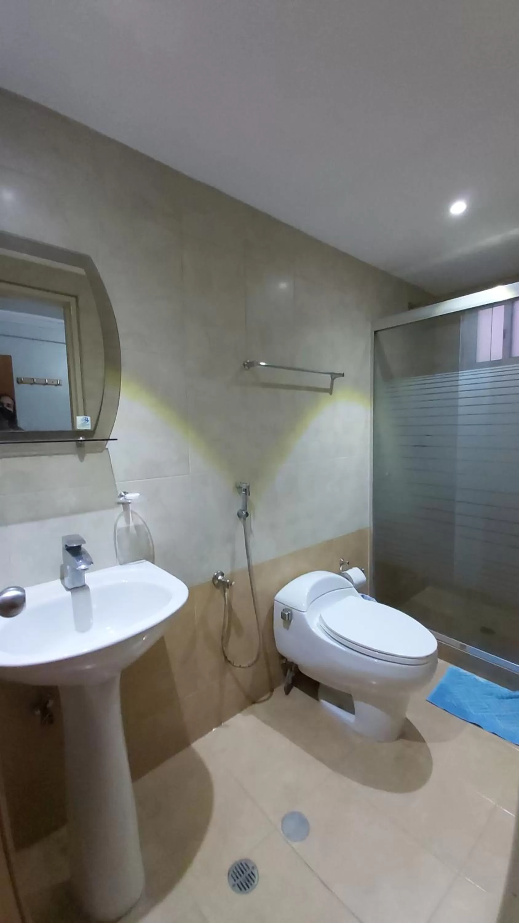 Toilet in HOTEL MUEVETE POR VARGAS