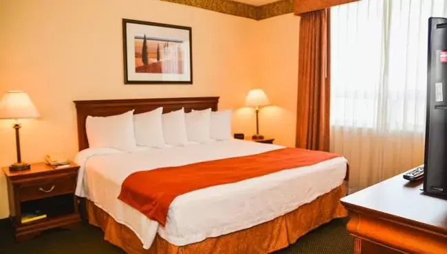 Bed in Country Inn & Suites by Radisson, London South, ON