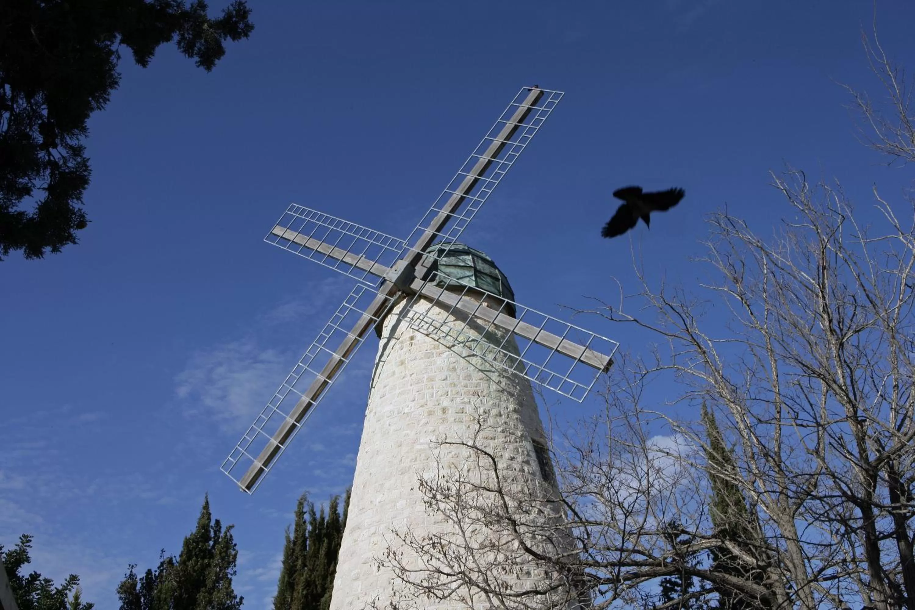 Area and facilities in Harmony Hotel - an Atlas Boutique Hotel