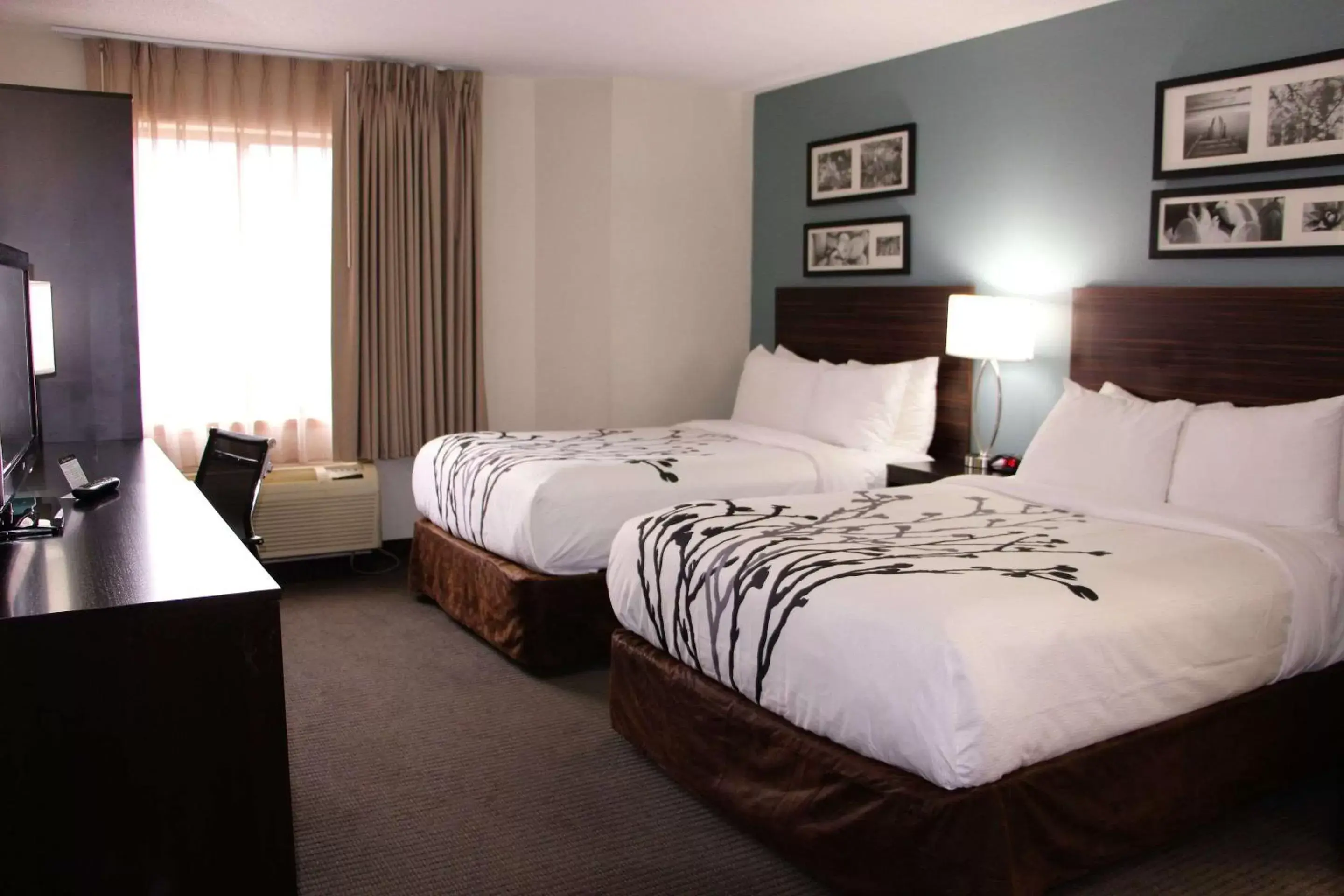 Photo of the whole room, Bed in Sleep Inn Chattanooga - Hamilton Place