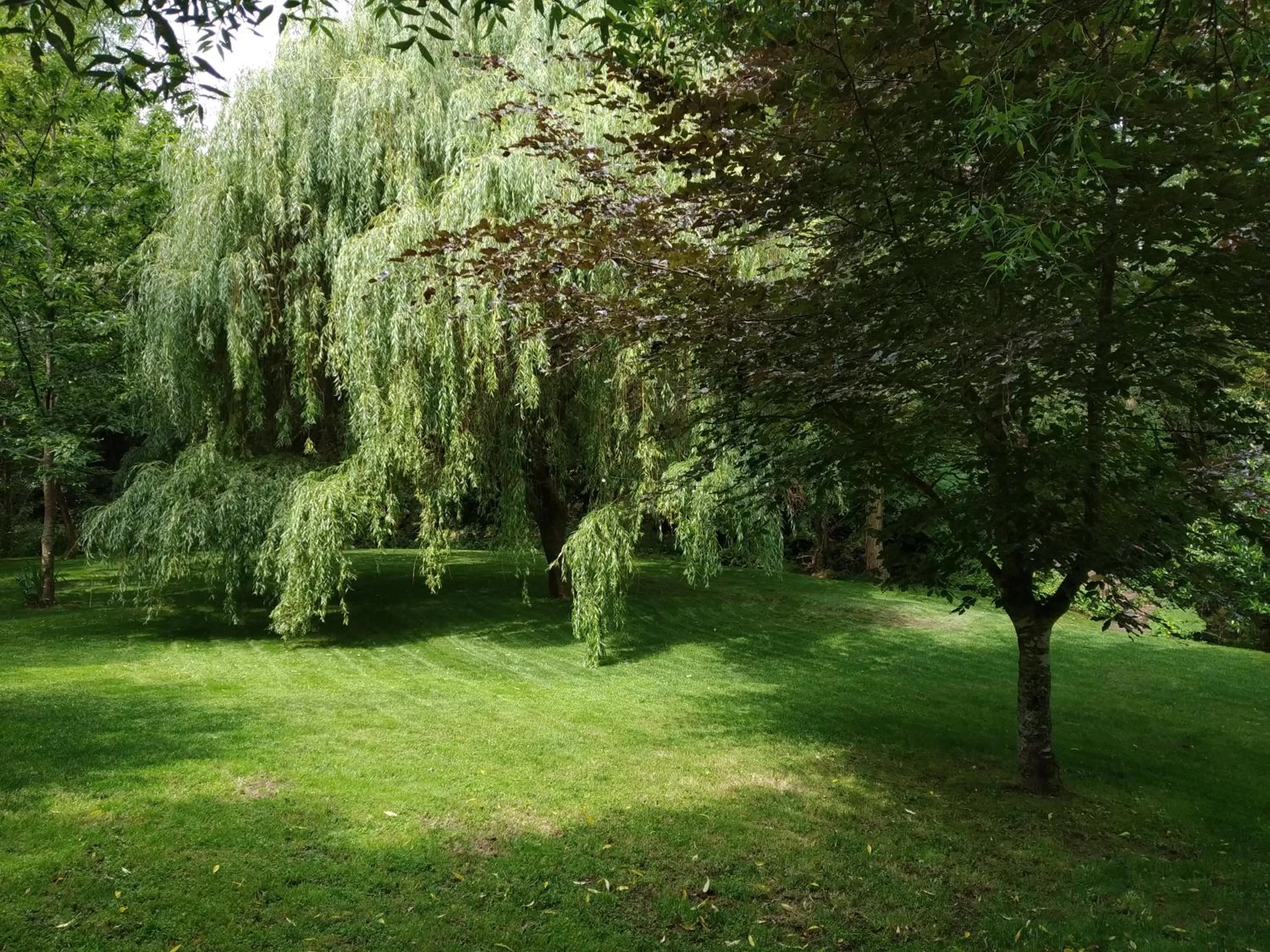 Garden in A Quinta Da Auga Hotel Spa Relais & Chateaux