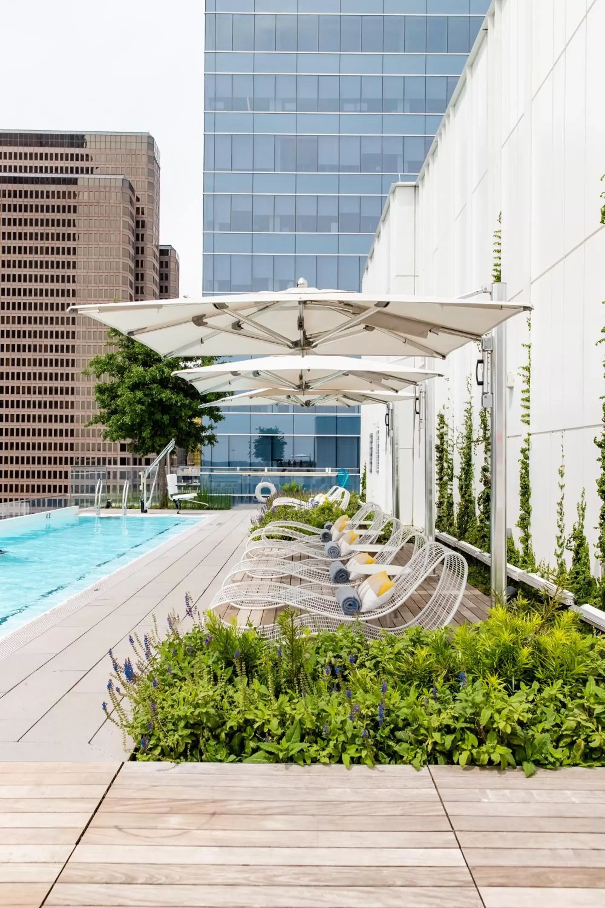 Swimming Pool in HALL Arts Hotel Dallas, Curio Collection by Hilton