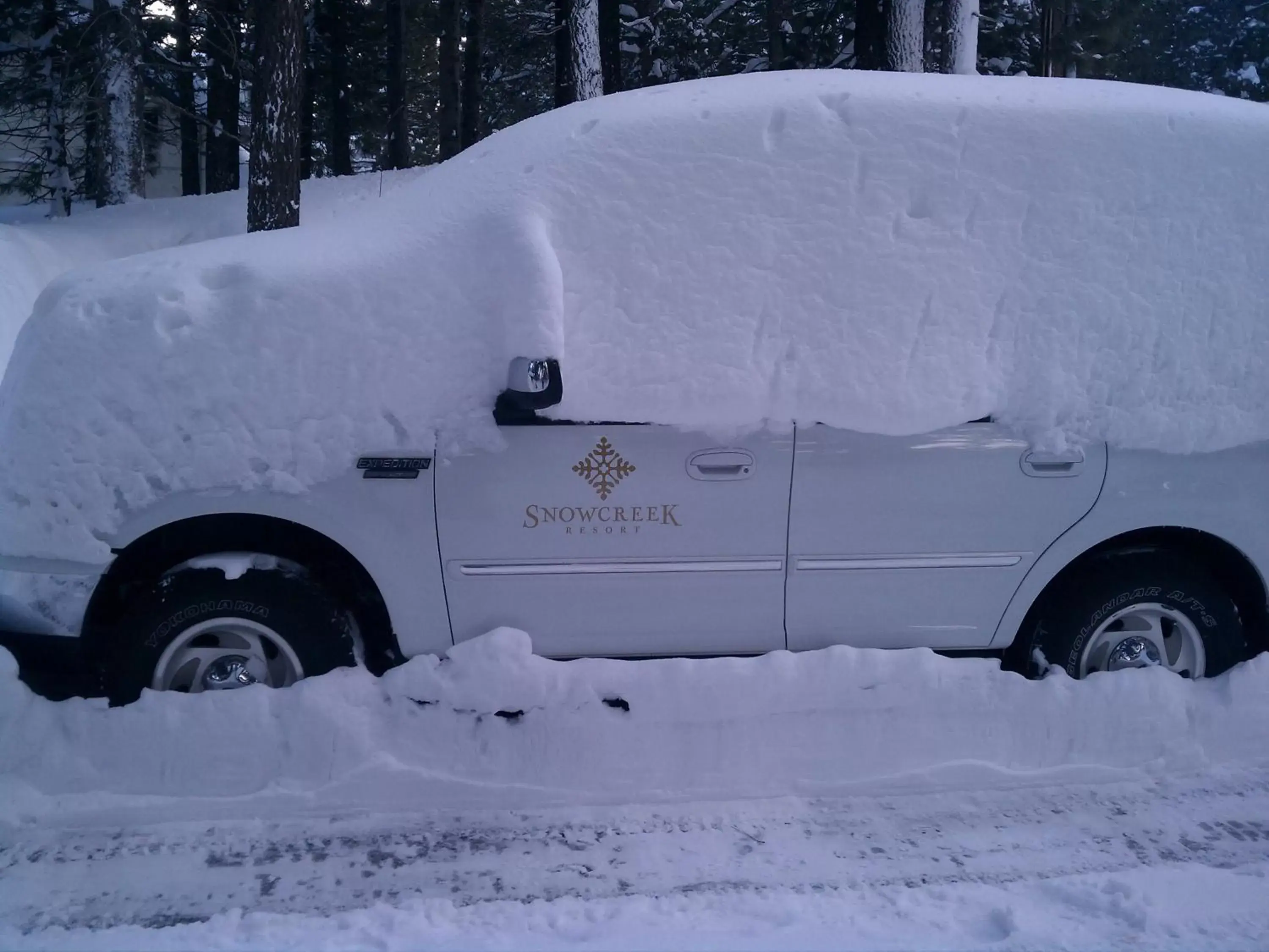 Staff, Winter in Snowcreek Resort Vacation Rentals