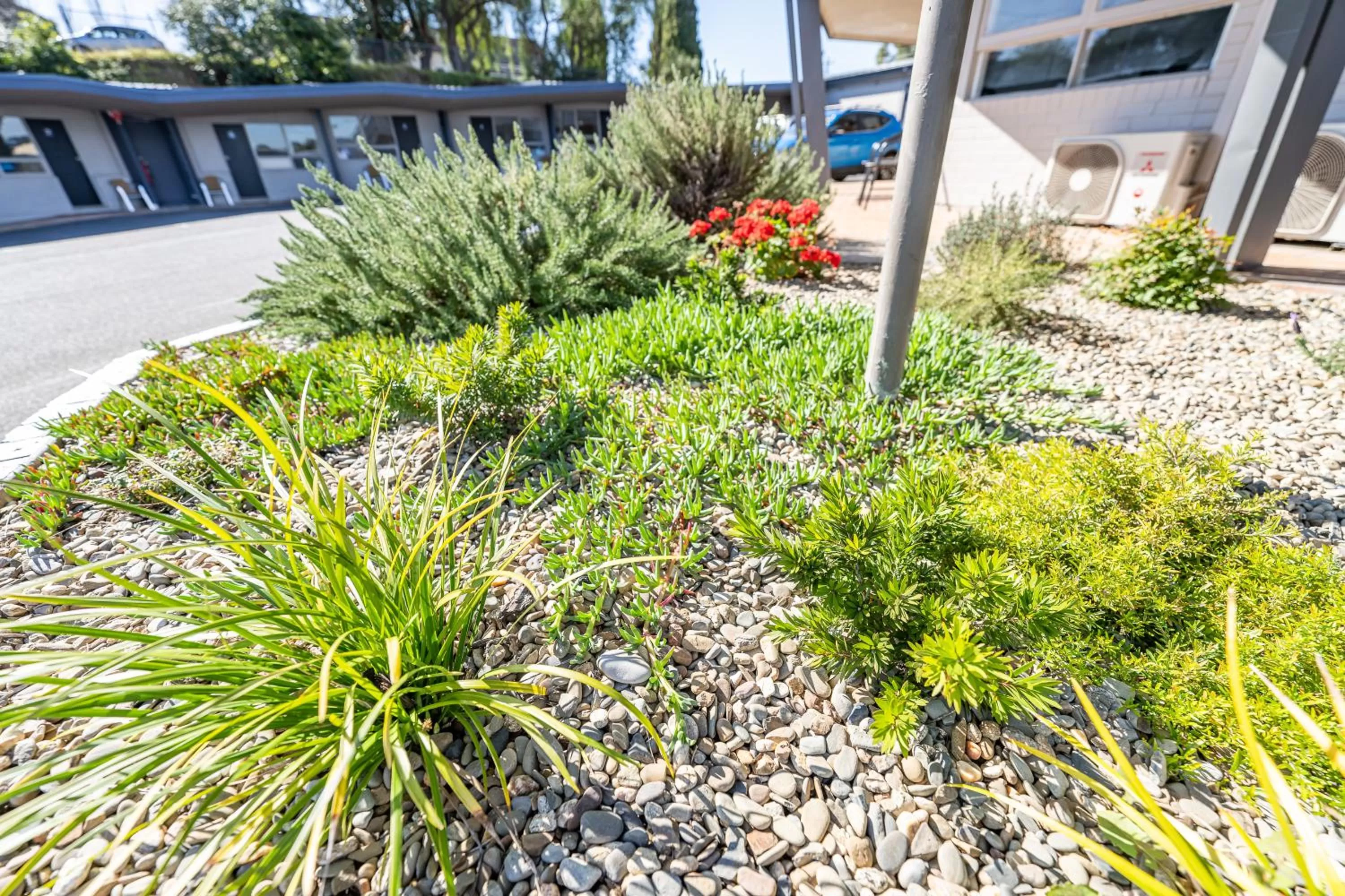 Property building in Bega Motel