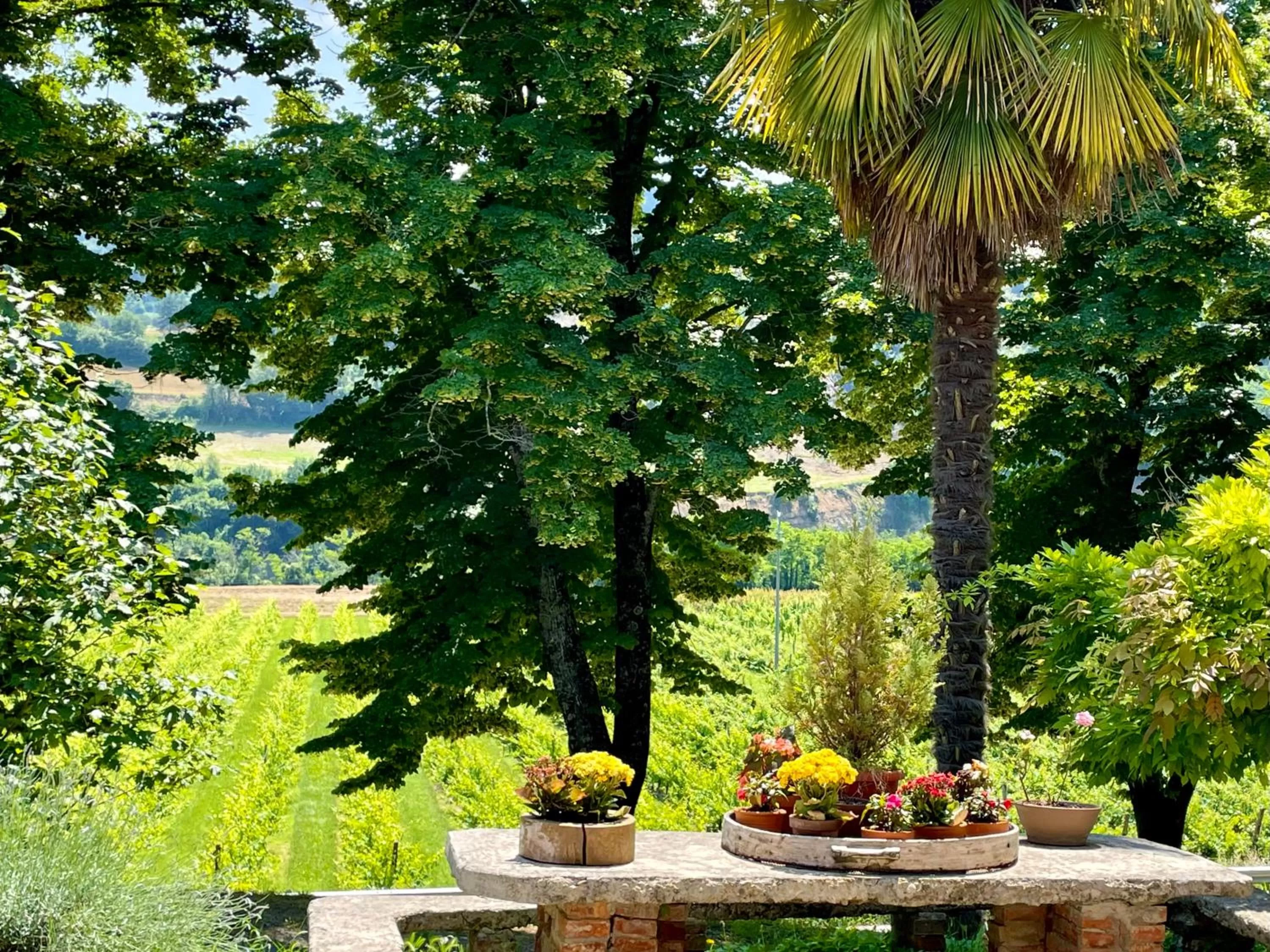 Garden in Il Cardello Locanda