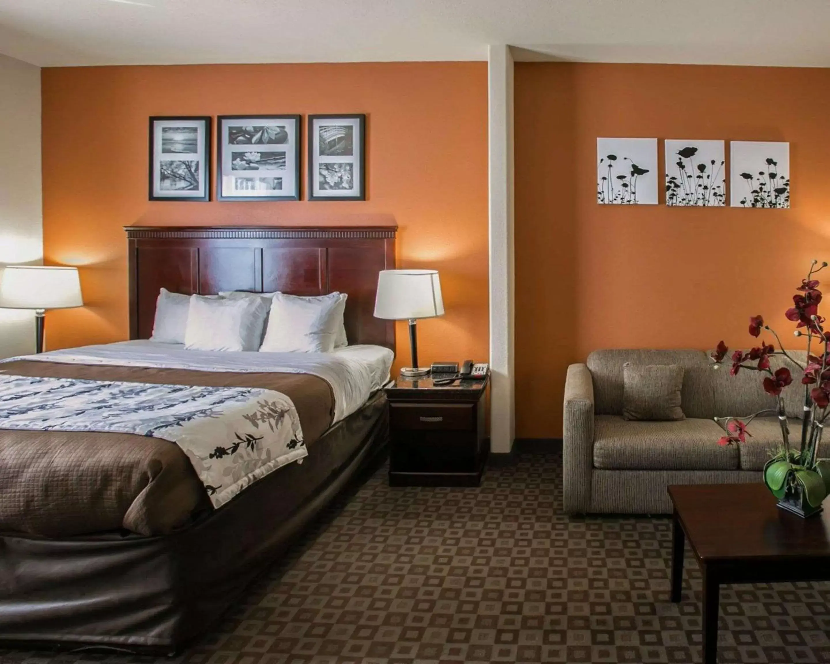 Photo of the whole room, Bed in Sleep Inn & Suites Highway 290/Northwest Freeway