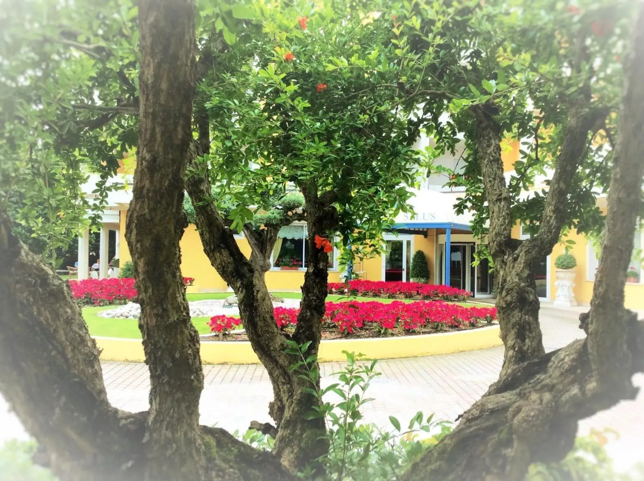 Garden in Hotel Terme Salus