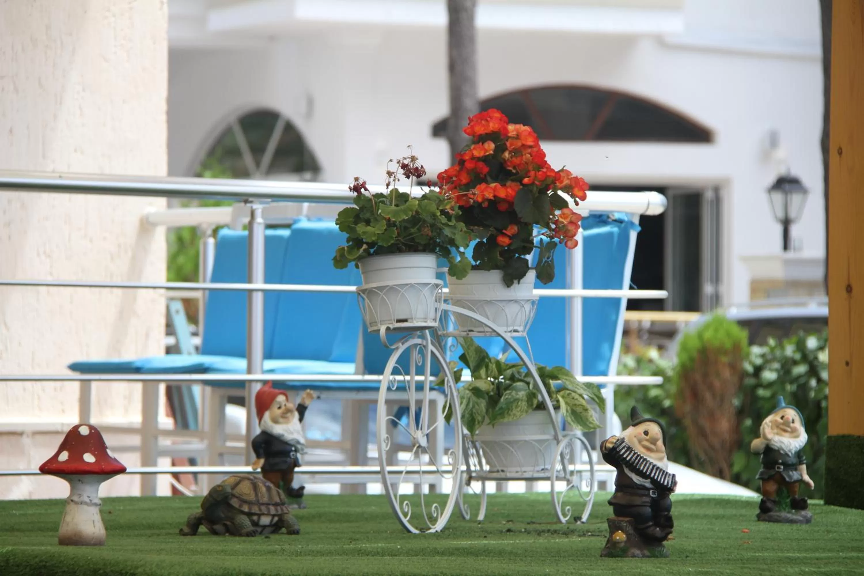 Balcony/Terrace in Hotel Kamomil