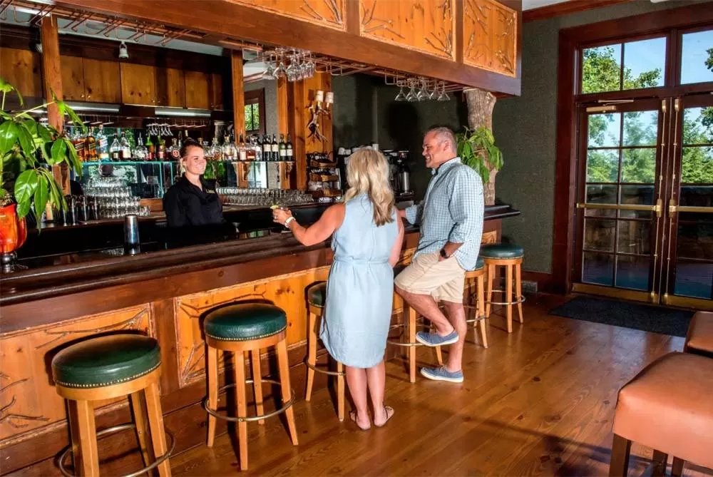 Lounge or bar in Brasstown Valley Resort & Spa