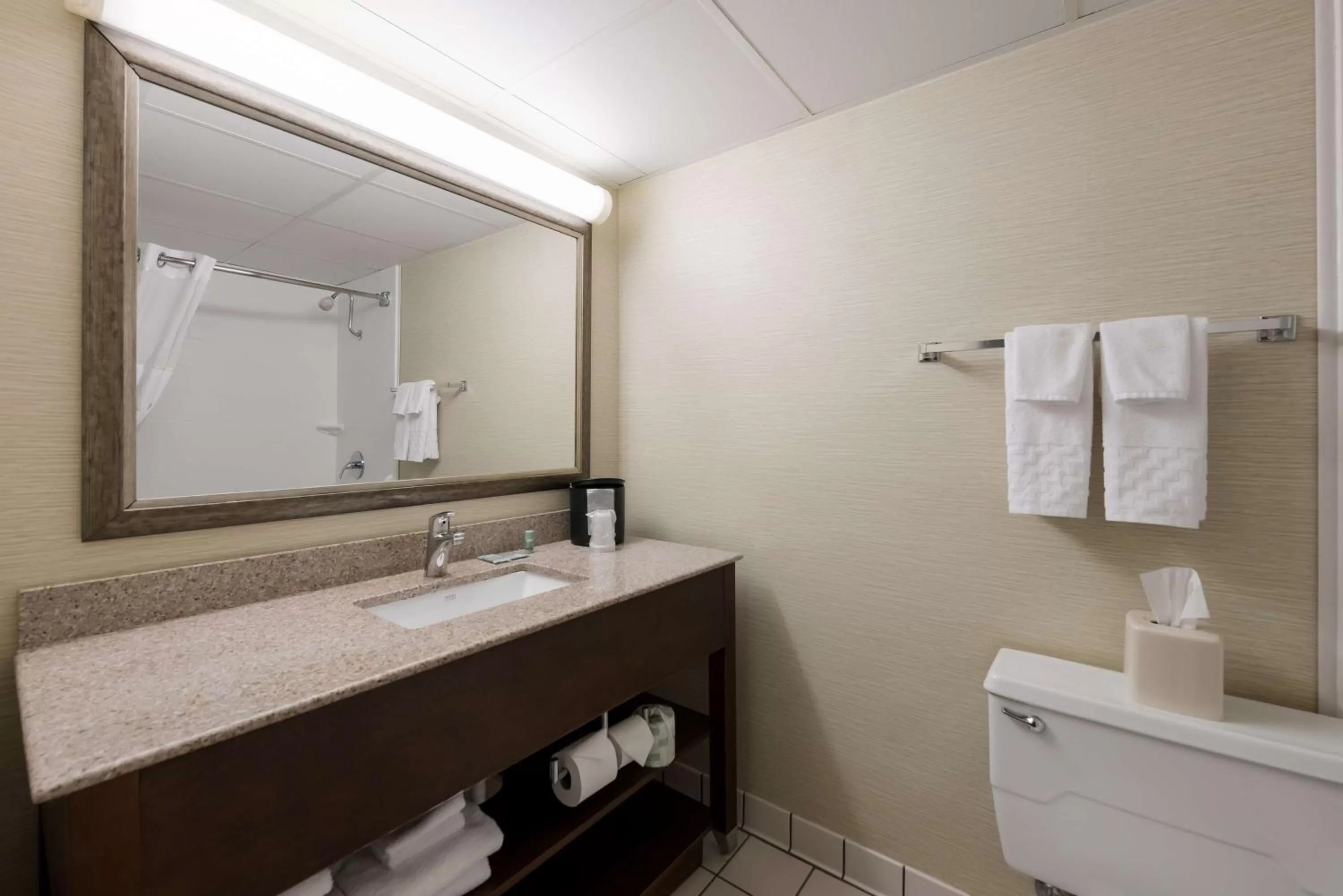 Bathroom in Best Western Holiday Lodge
