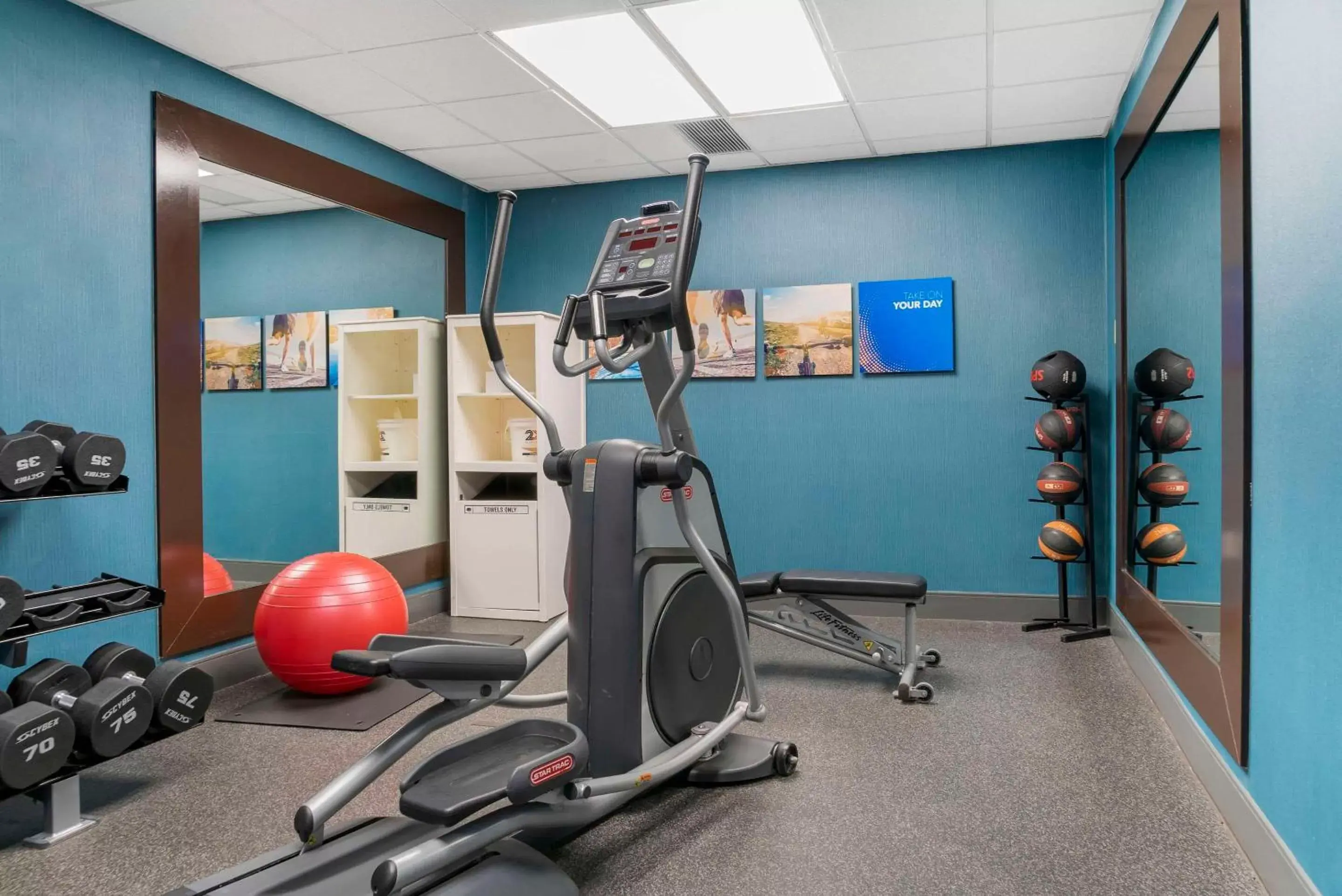 Fitness centre/facilities, Fitness Center/Facilities in Comfort Inn & Suites