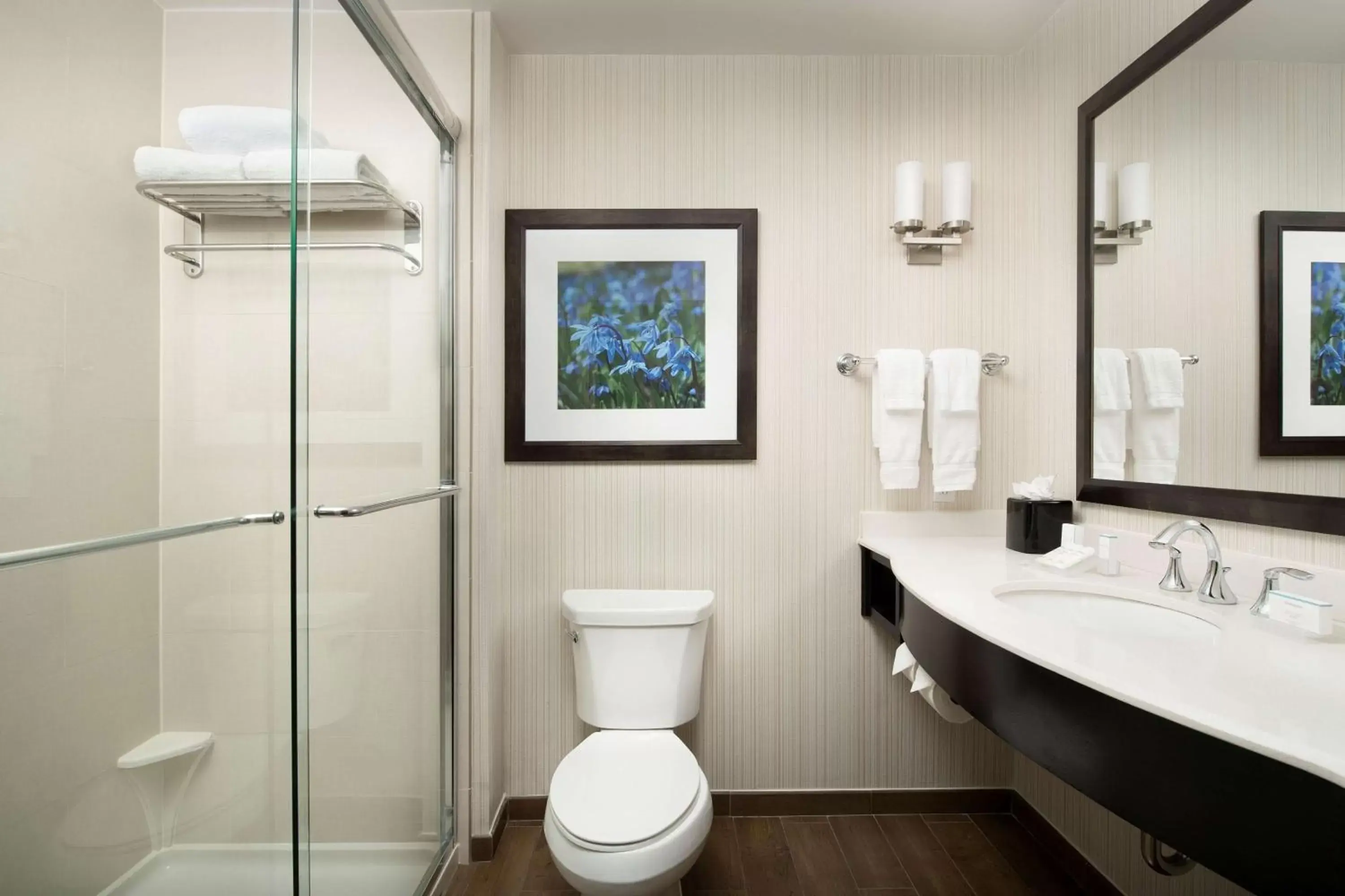 Bathroom in Hilton Garden Inn Charlotte Airport