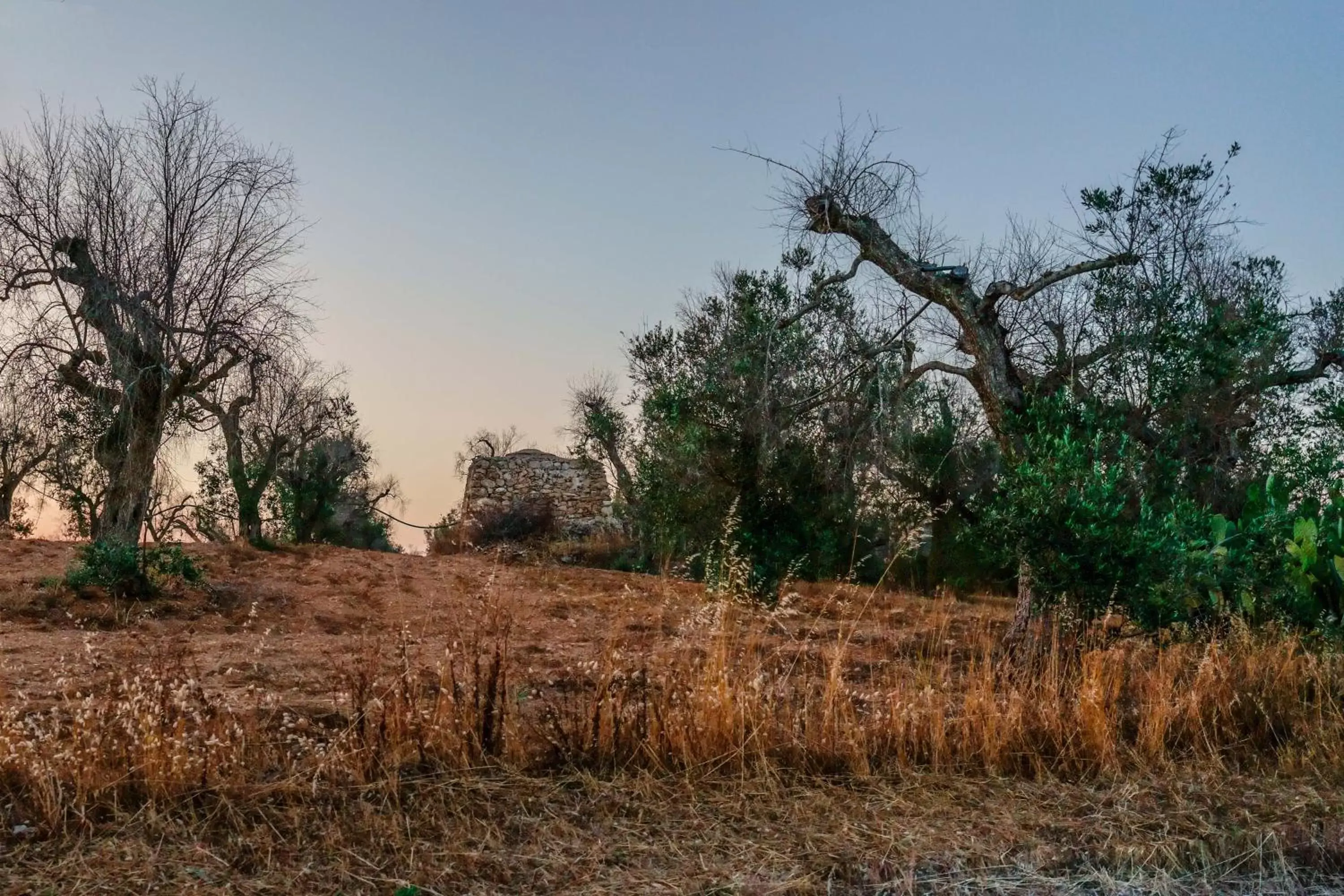 Natural landscape in Bed and Breakfast Cairoli Exclusive Room