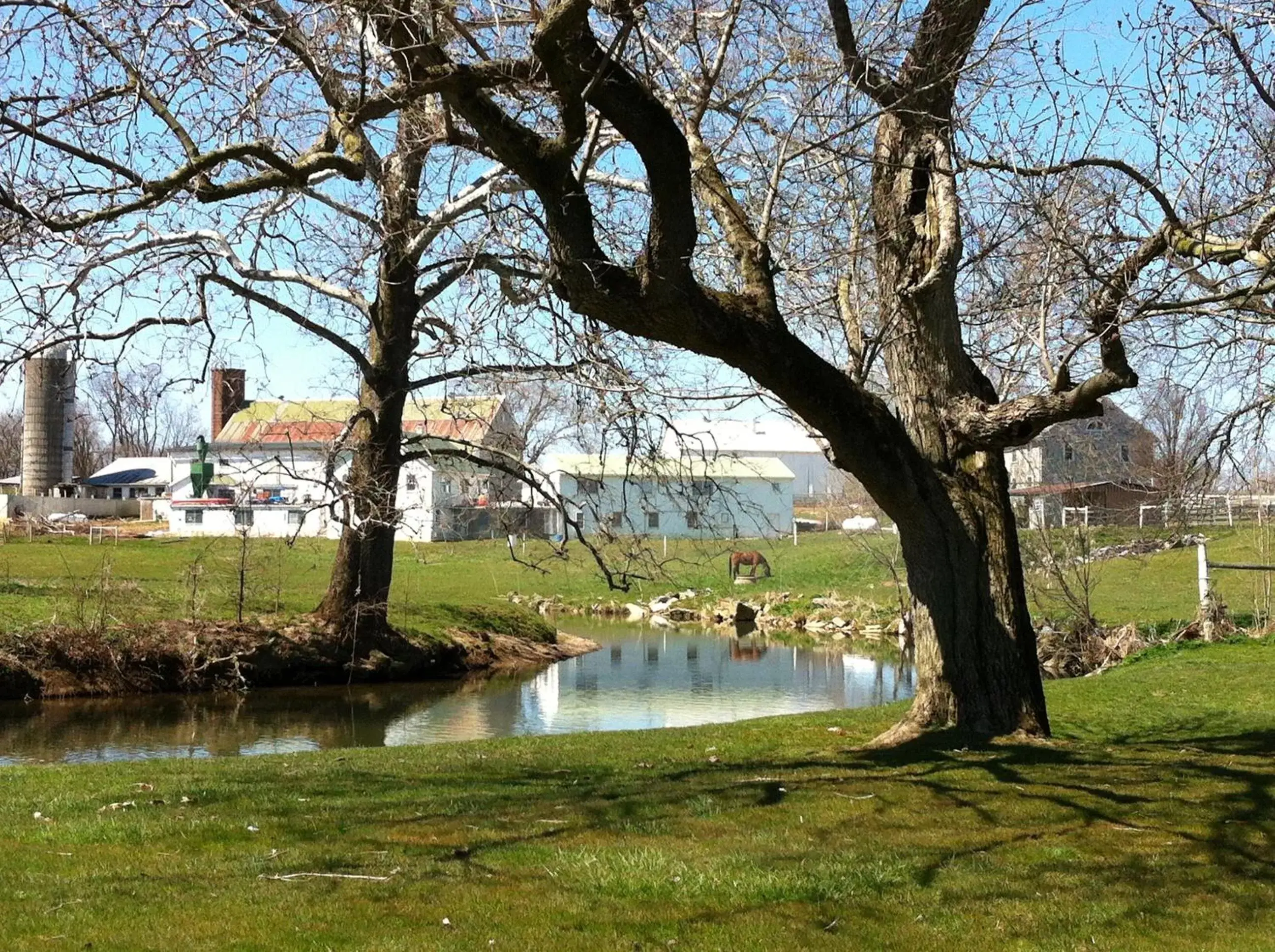 Area and facilities, Garden in Mill Stream Country Inn