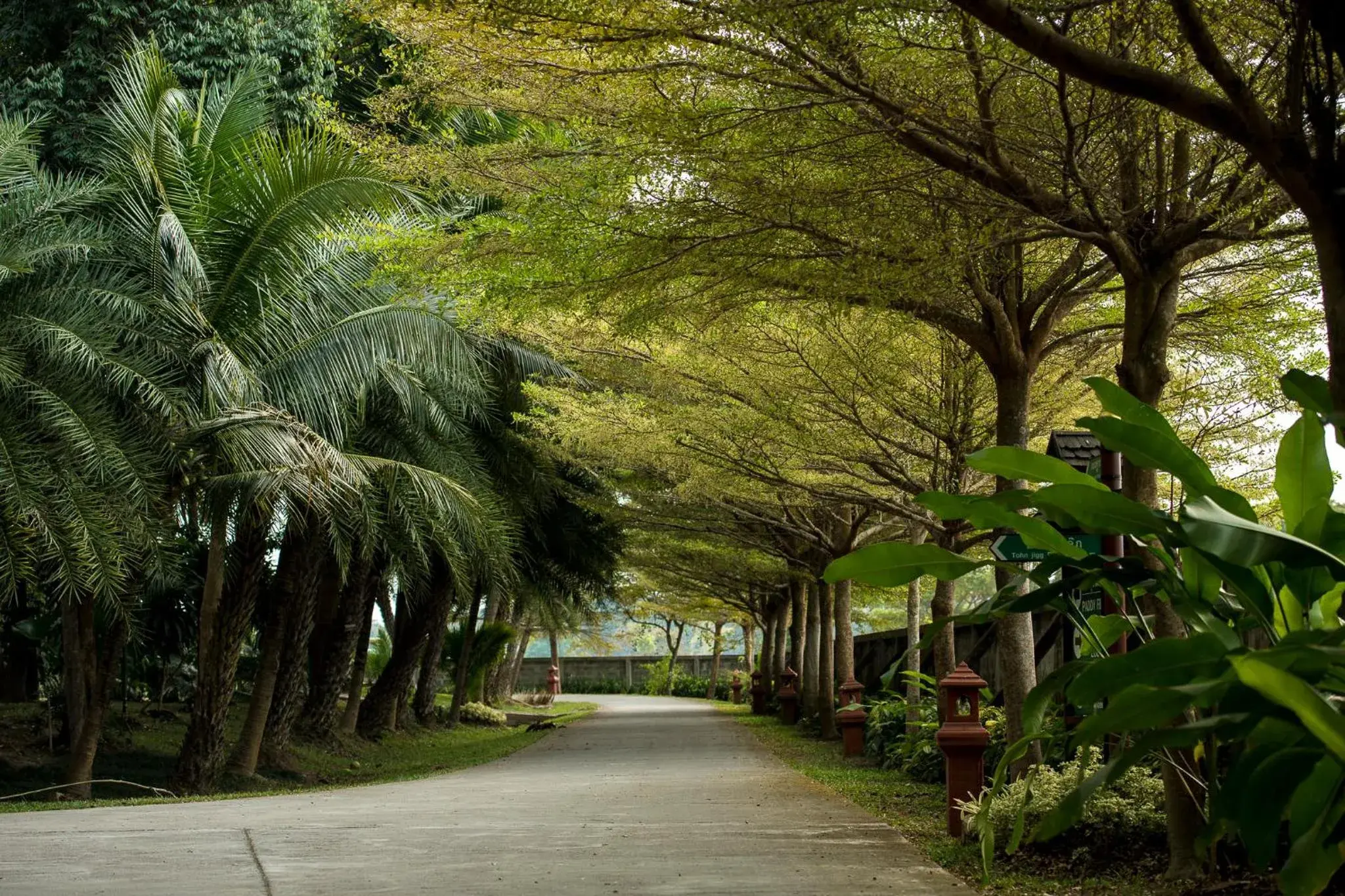 Garden in Horizon Village & Resort SHA Plus