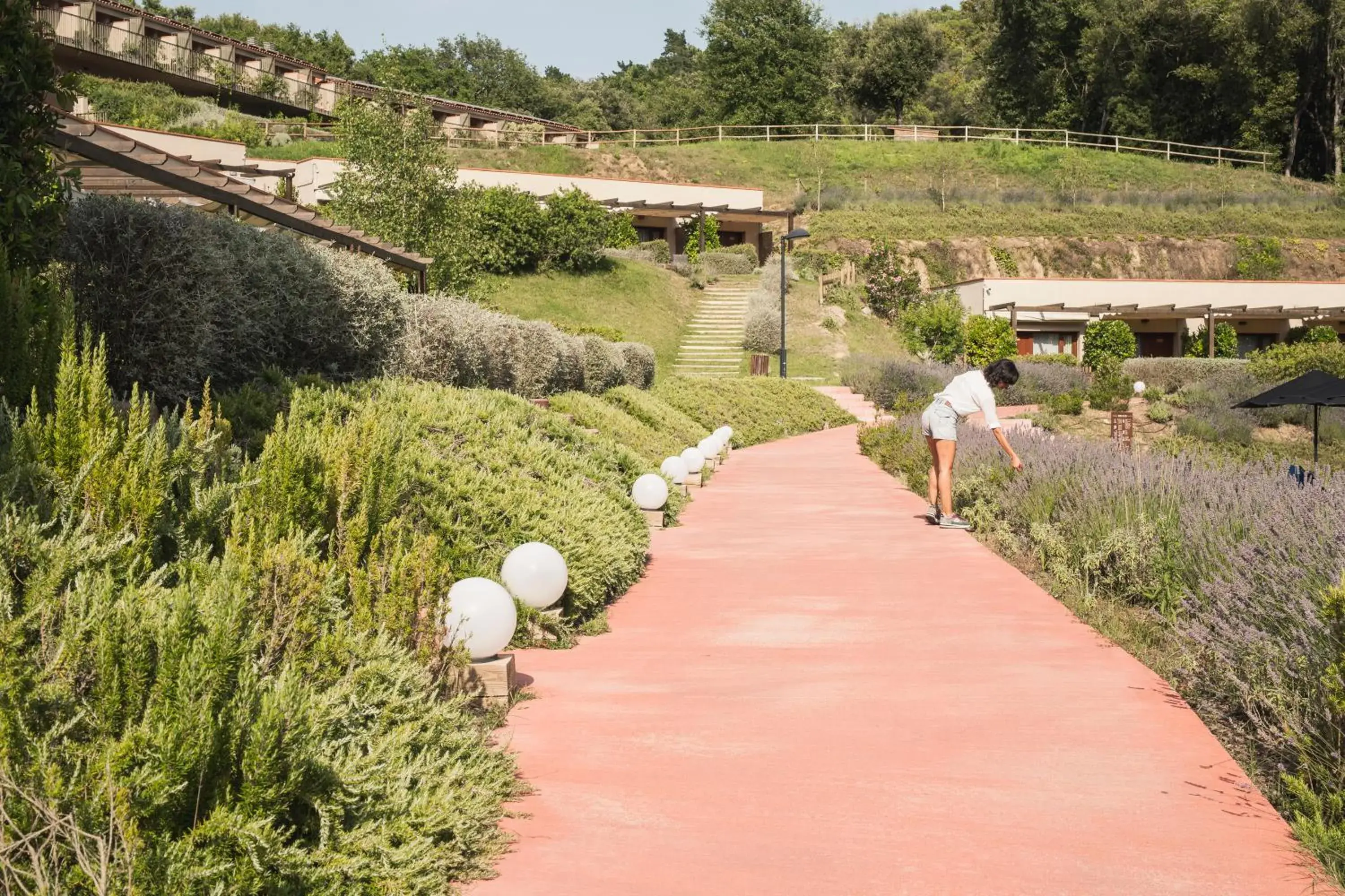 Natural landscape in Mas Salagros EcoResort & SPA