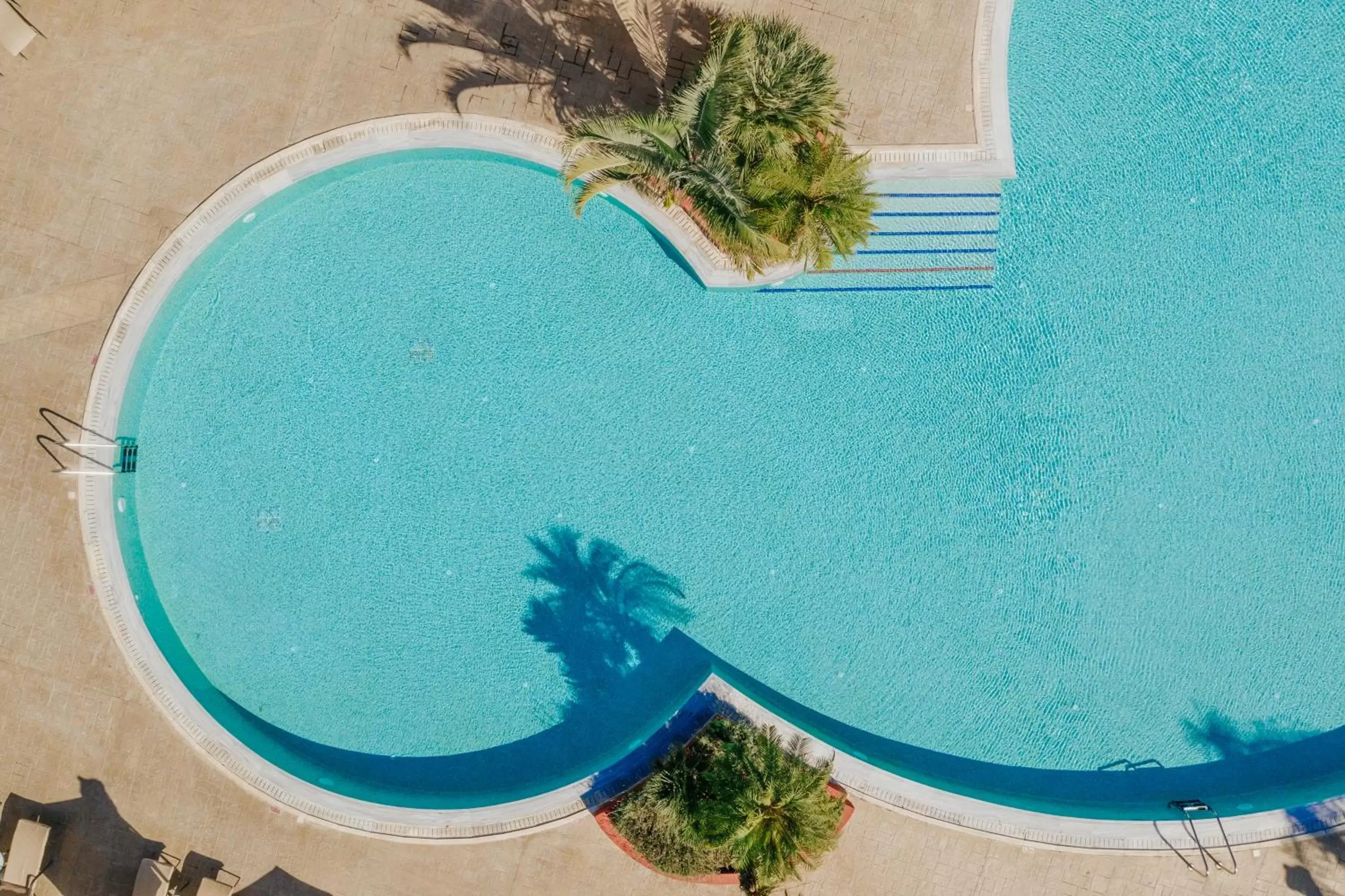 Bird's eye view, Pool View in Louis Paphos Breeze