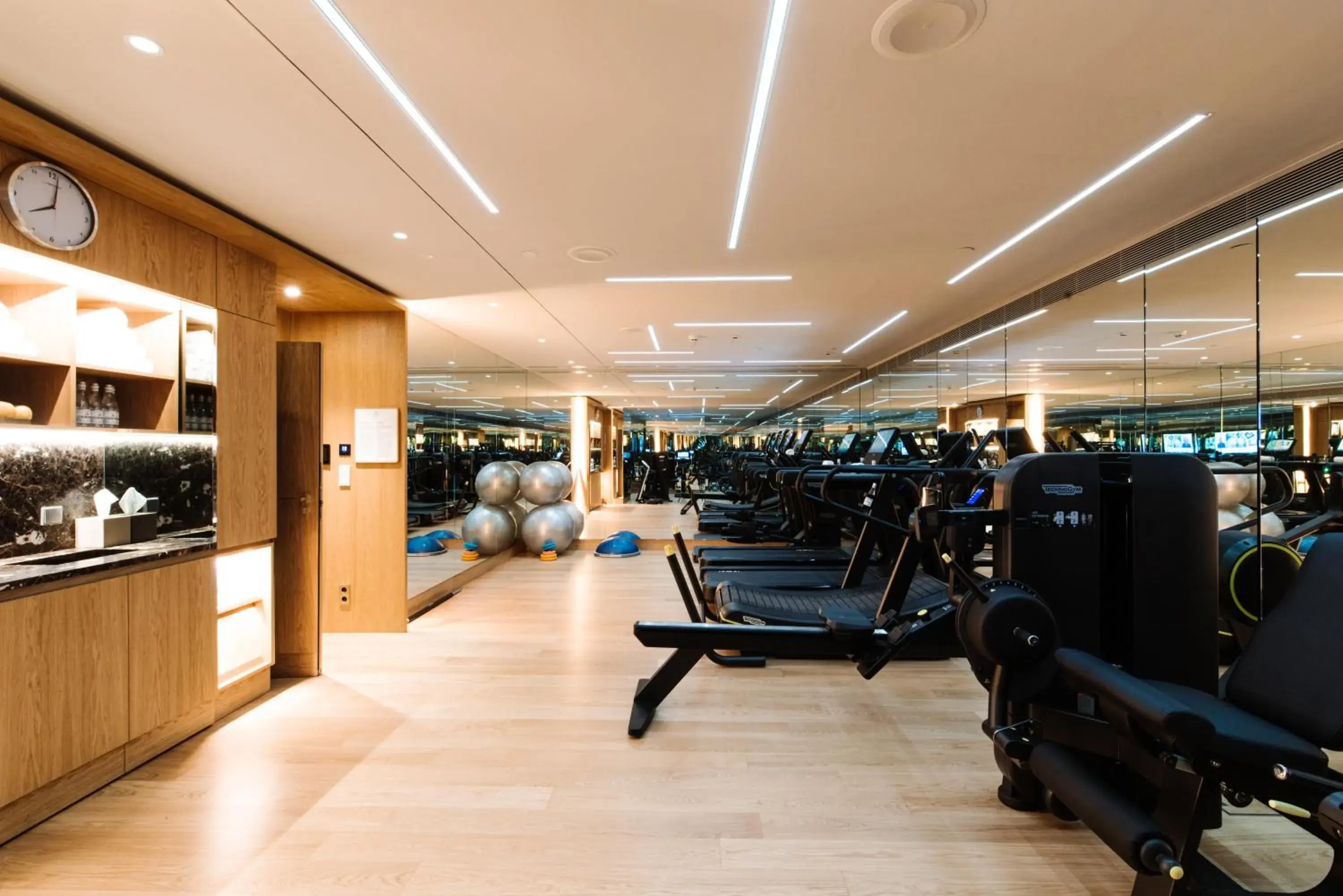 Fitness centre/facilities, Fitness Center/Facilities in Raffles Europejski Warsaw