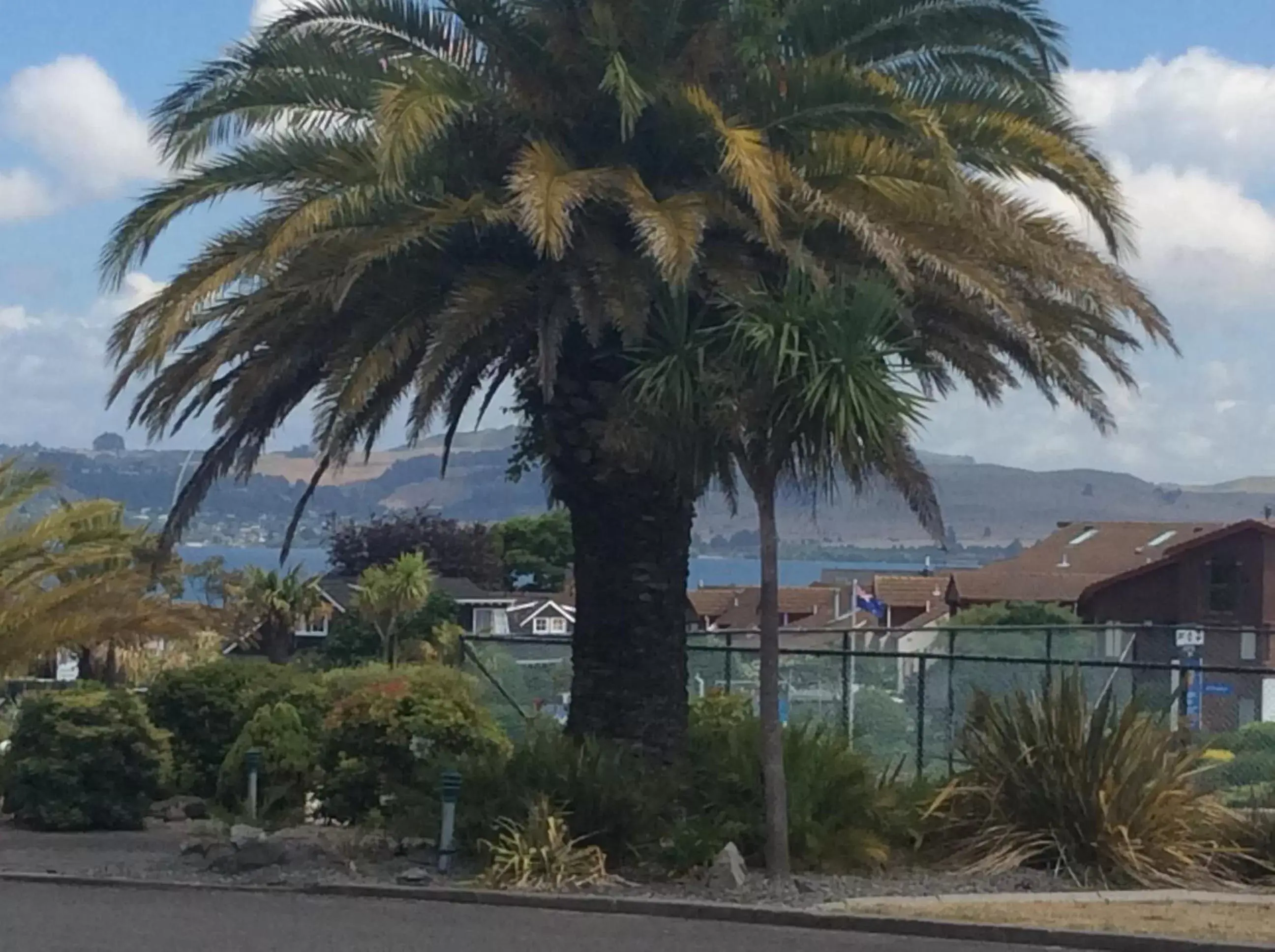 View (from property/room) in Lakeland Resort Taupo