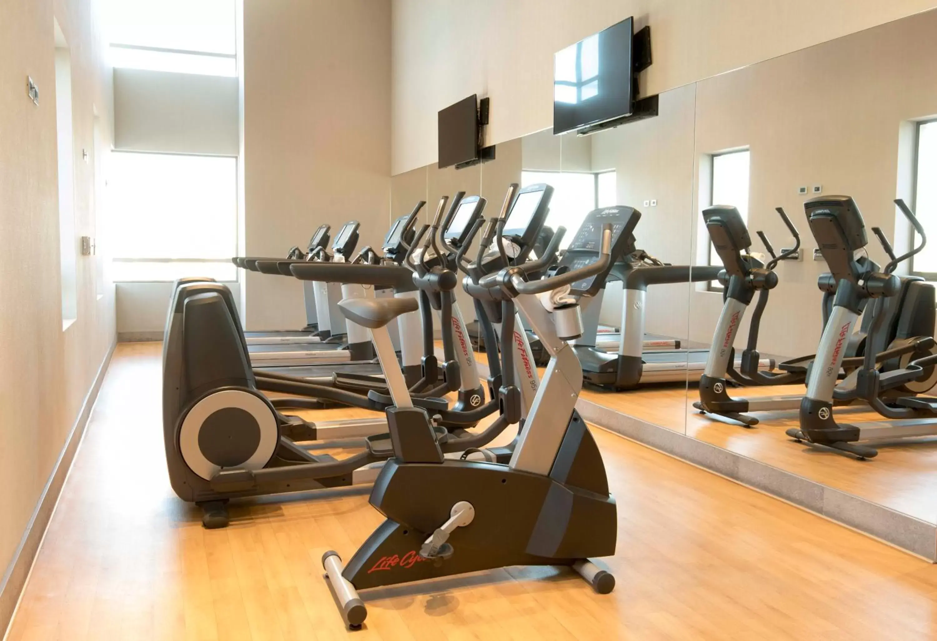 Fitness centre/facilities, Fitness Center/Facilities in Holiday Inn Express - Concepcion, an IHG Hotel