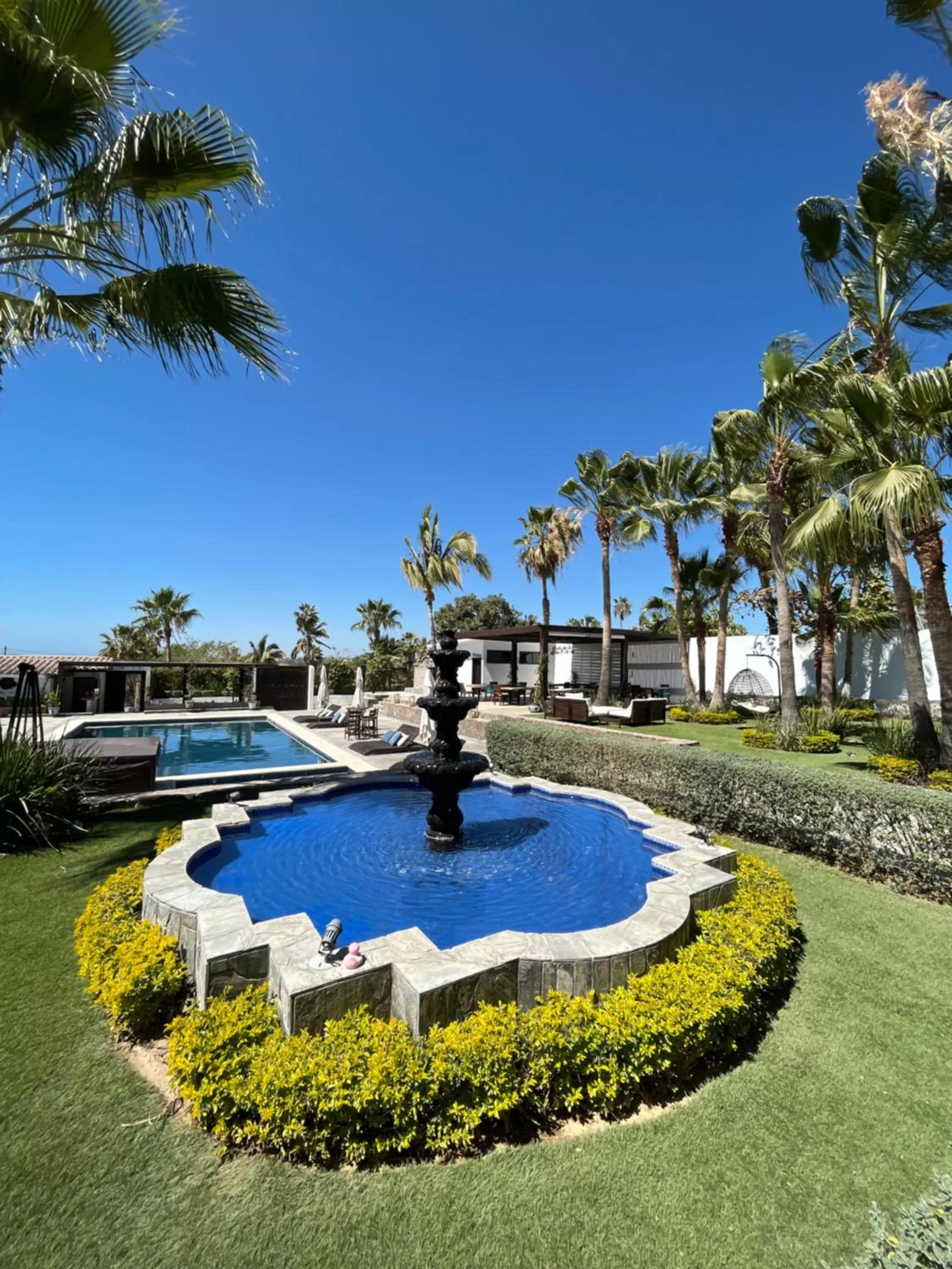 Garden, Swimming Pool in Hotel Quinta Santa Rosa