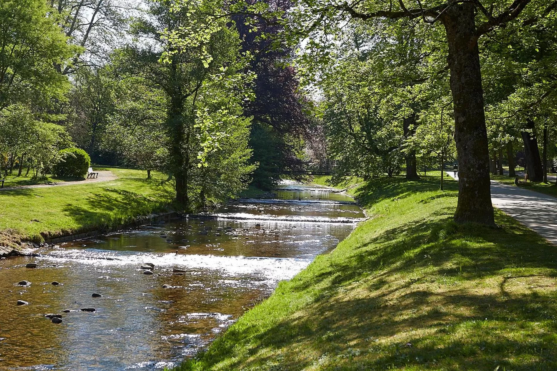 Natural landscape in Hotel Beek by Anna