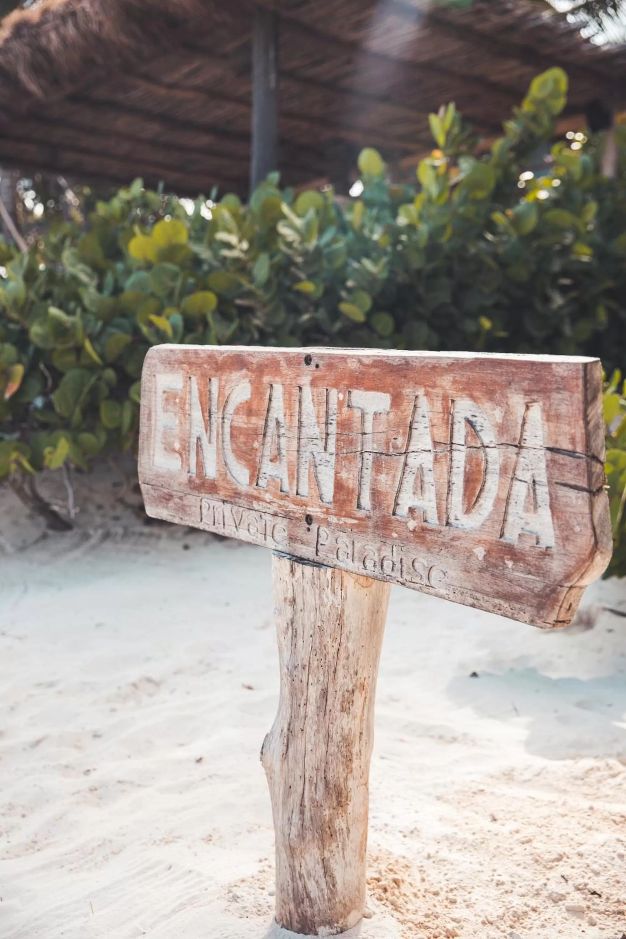 Logo/Certificate/Sign in Encantada Tulum