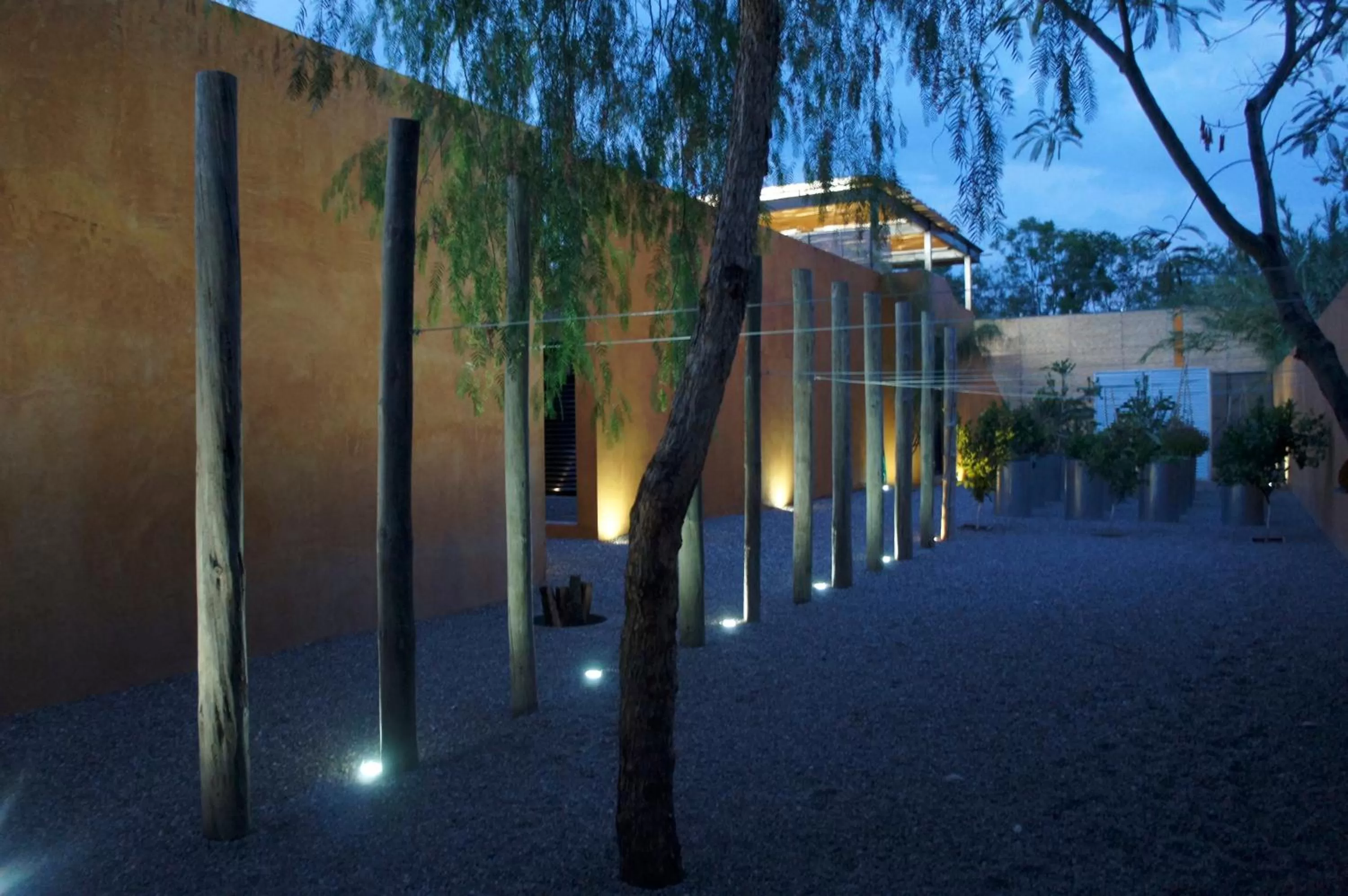 Garden in Hotel Cosijo - San Jeronimo Tlacochahuaya