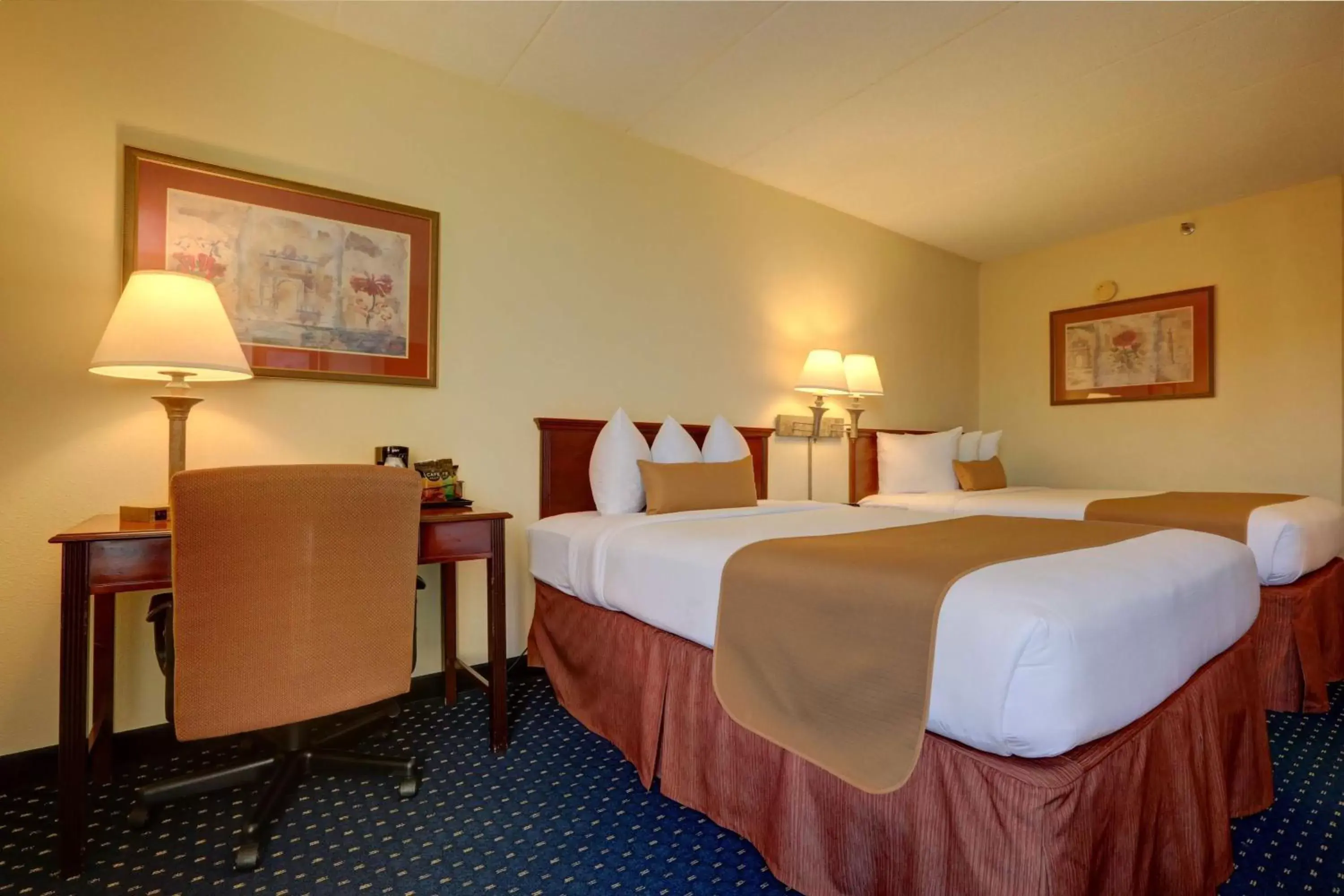 Photo of the whole room, Bed in SureStay Plus Hotel by Best Western Chicago Lombard