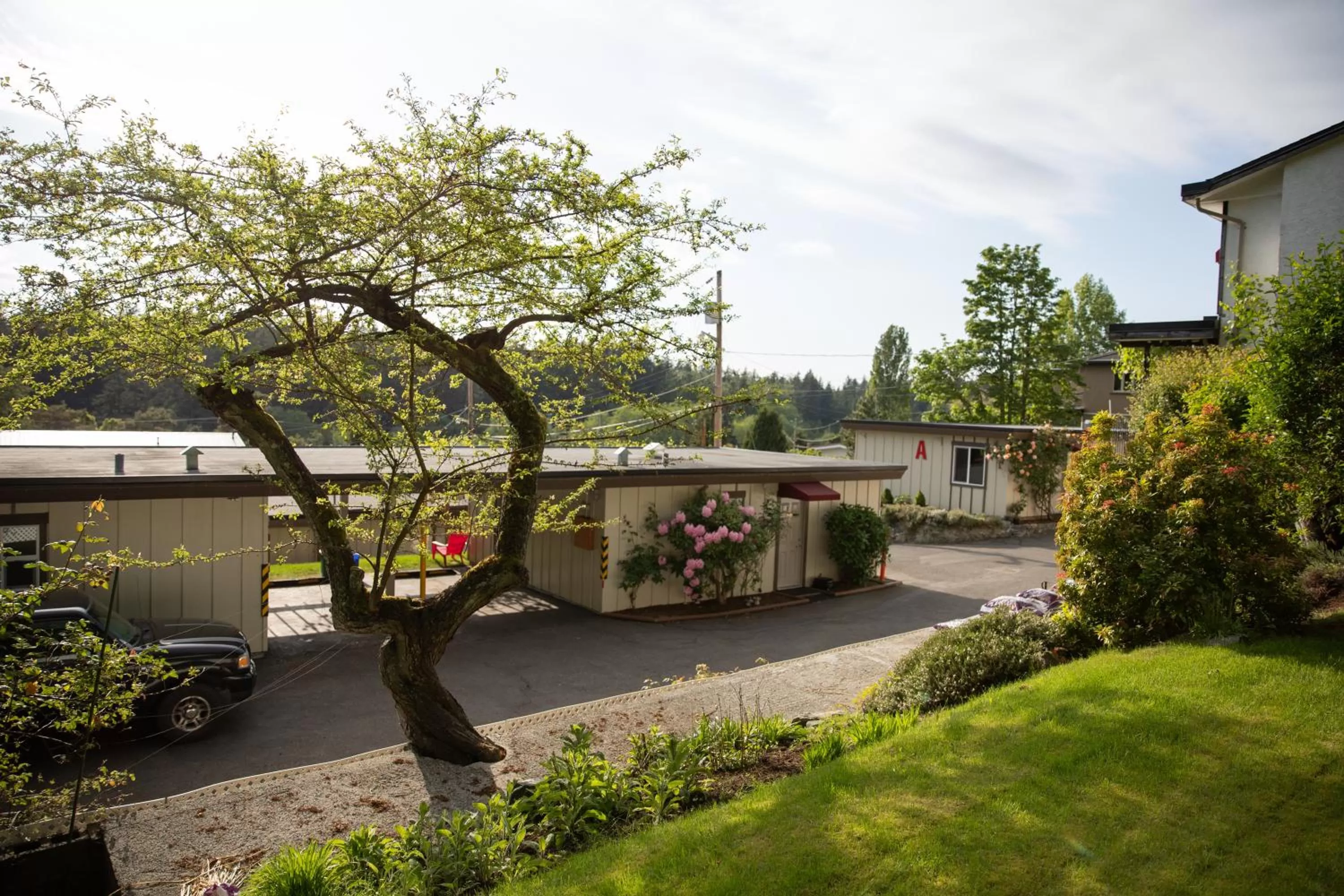 Property Building in Cherry Tree Inn
