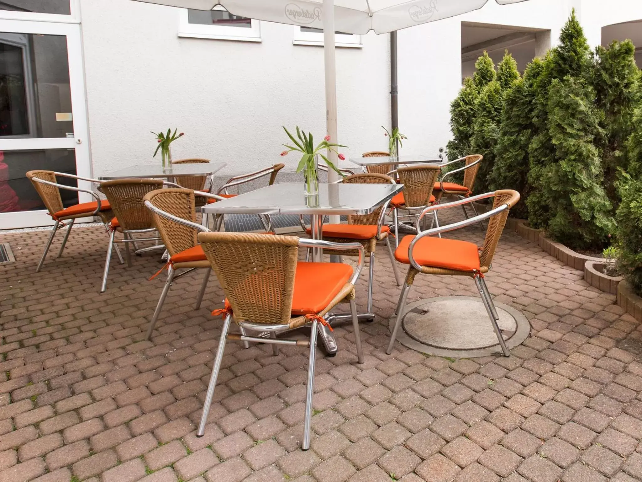 Restaurant/places to eat in DORMERO Hotel Dresden Airport