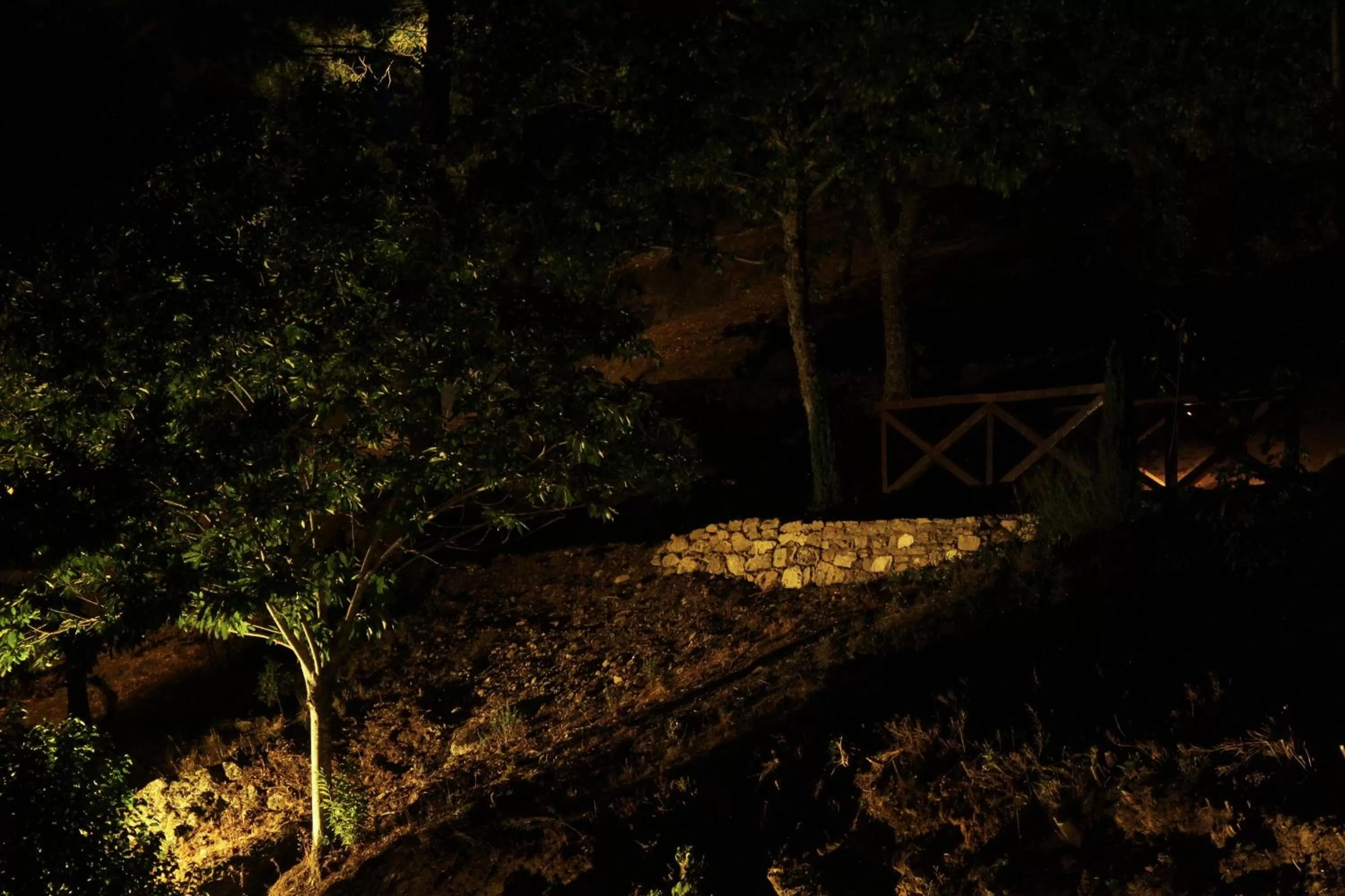 Other in Camping Lamego Douro Valley