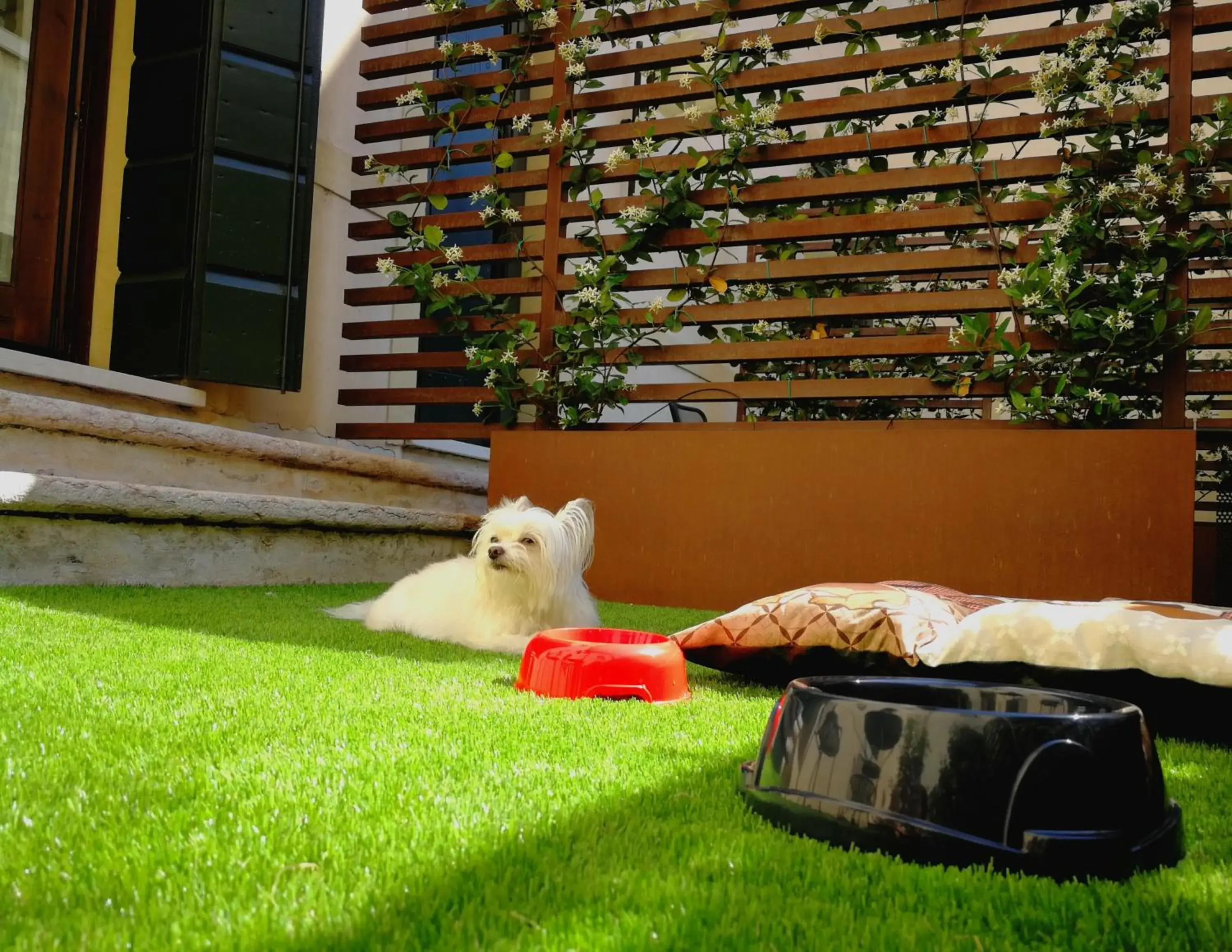 Balcony/Terrace, Pets in Hotel Alla Torre